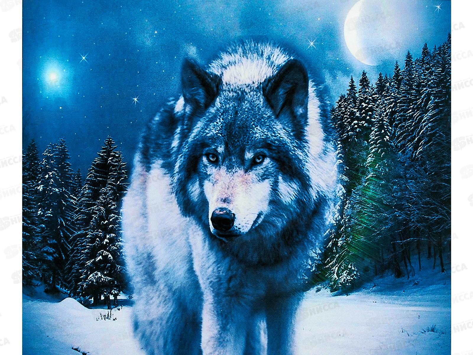 Алмазная мозаика №GLE74341, 40*50см &quotВолк&quot на подрамнике, коробка