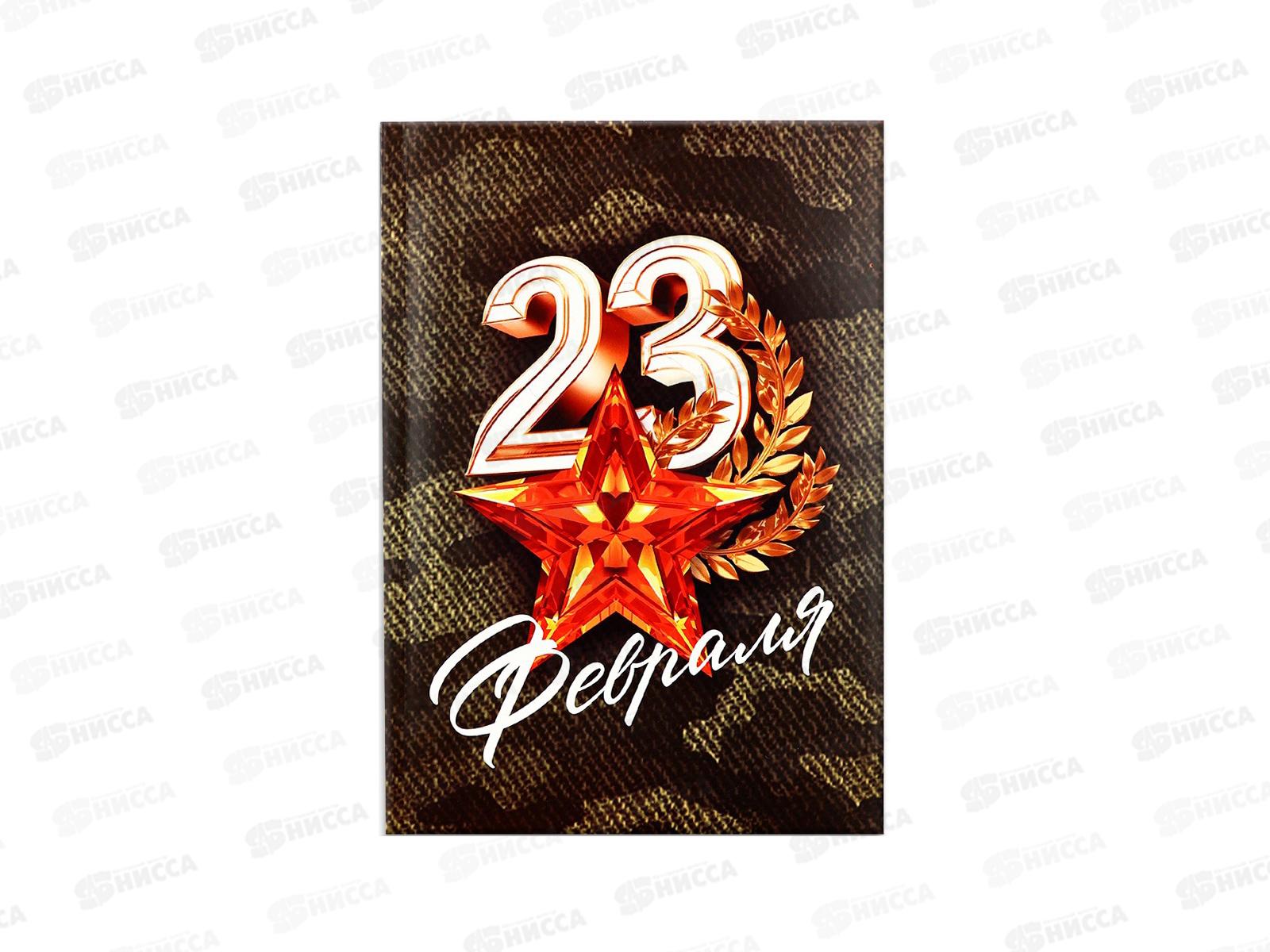 Ежедневник &quotС 23 Февраля Звезда&quot А5 64л 10020189