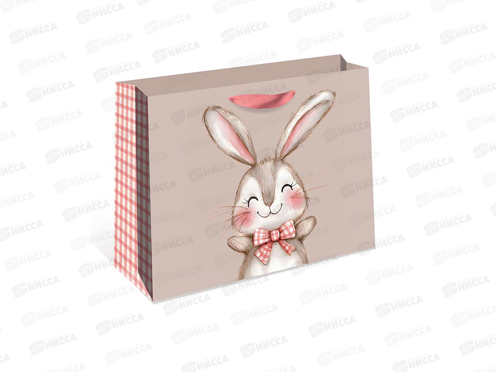 Пакет подарочный АД 50*40*15 Стандарт плюс 2326.067