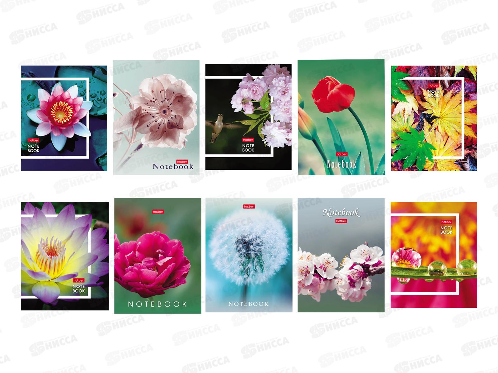 Записн.книжка Hatber А6 32л Живые моменты, 10диз. 091594 *144