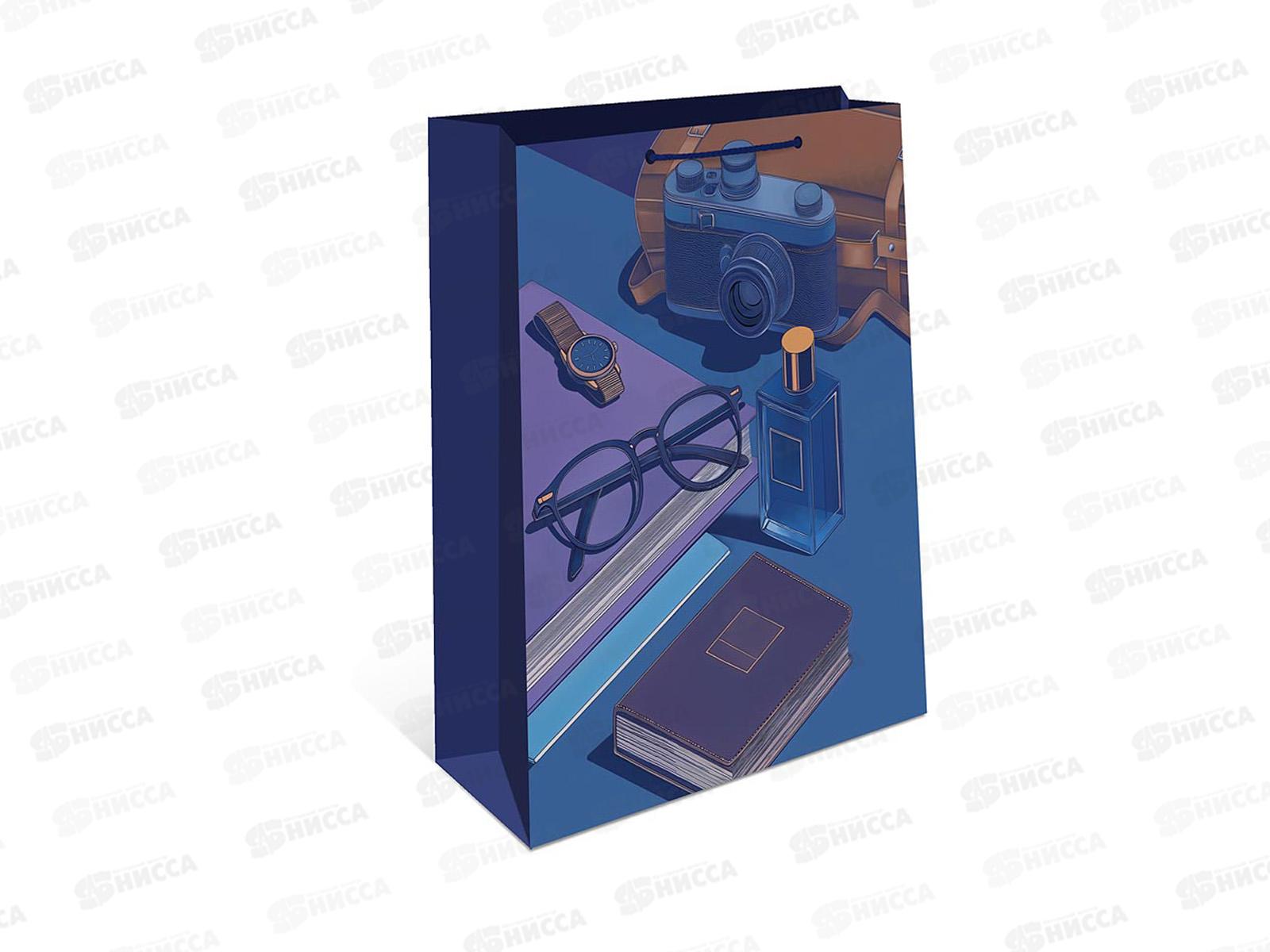 Пакет подарочный АД 26*32 0193.849