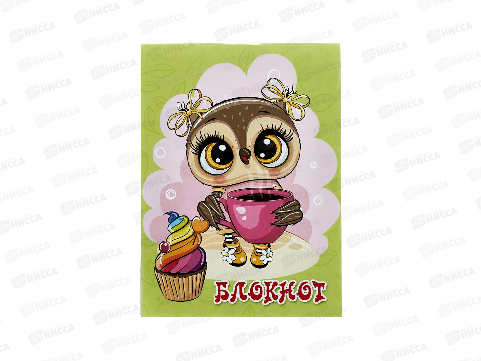 Блокнот 32л ПГС Совушки 130*95  *24