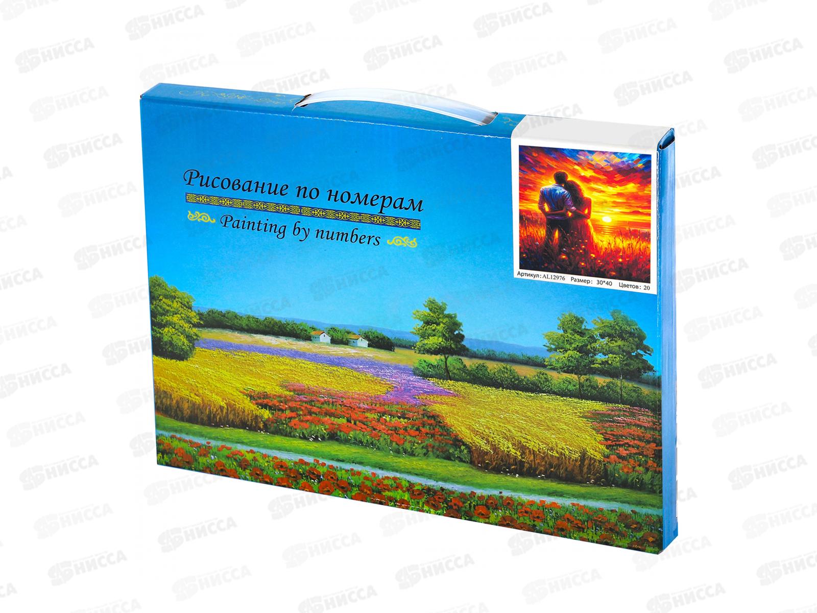 Картина по номерам 30*40 Влюбленная пара  АL12976*30