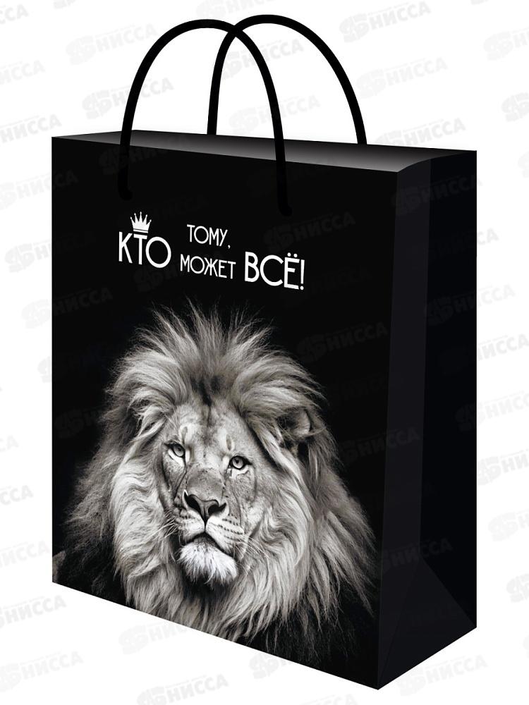 Пакет подарочный MI 26,4х32,7х8см Царь, ППК-7860 *12