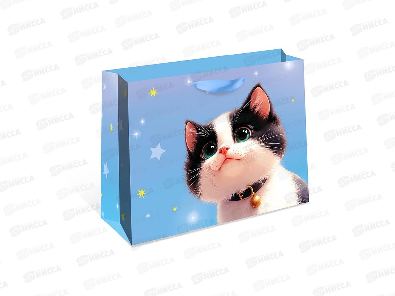 Пакет подарочный АД 50*40*25 Стандарт плюс 2327.199