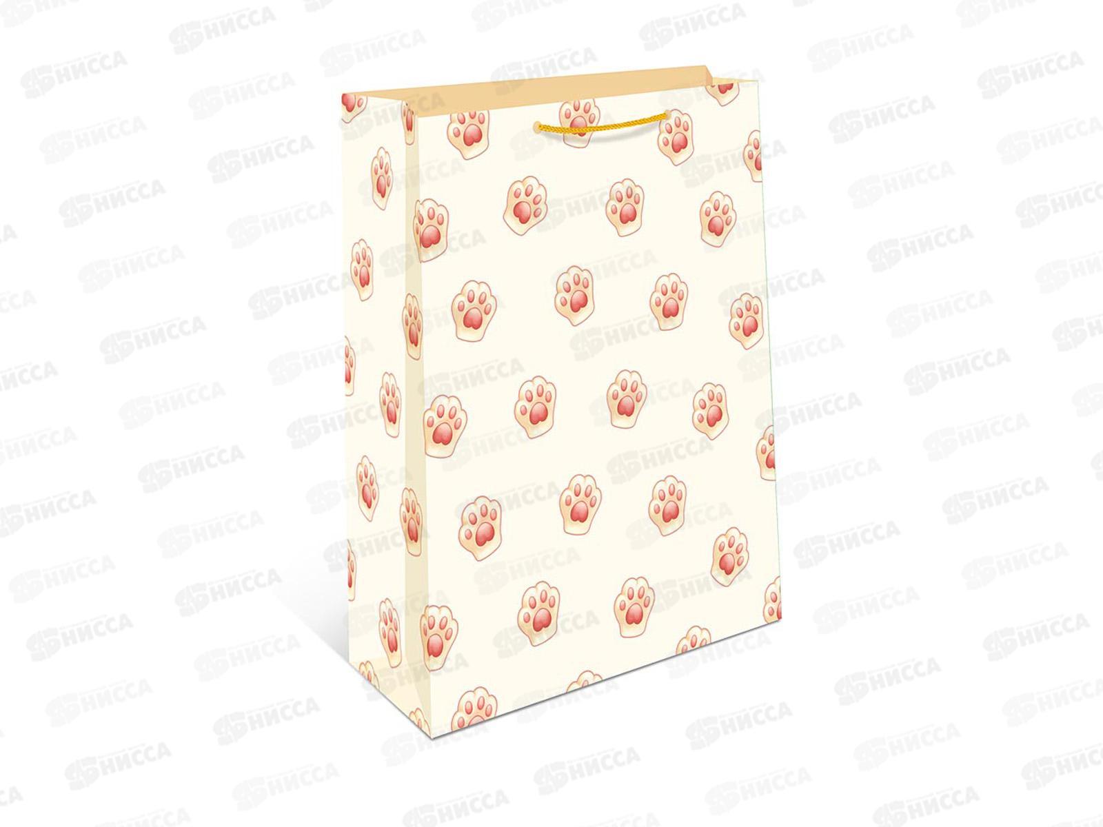 Пакет подарочный АД 18*22,3 1192.054