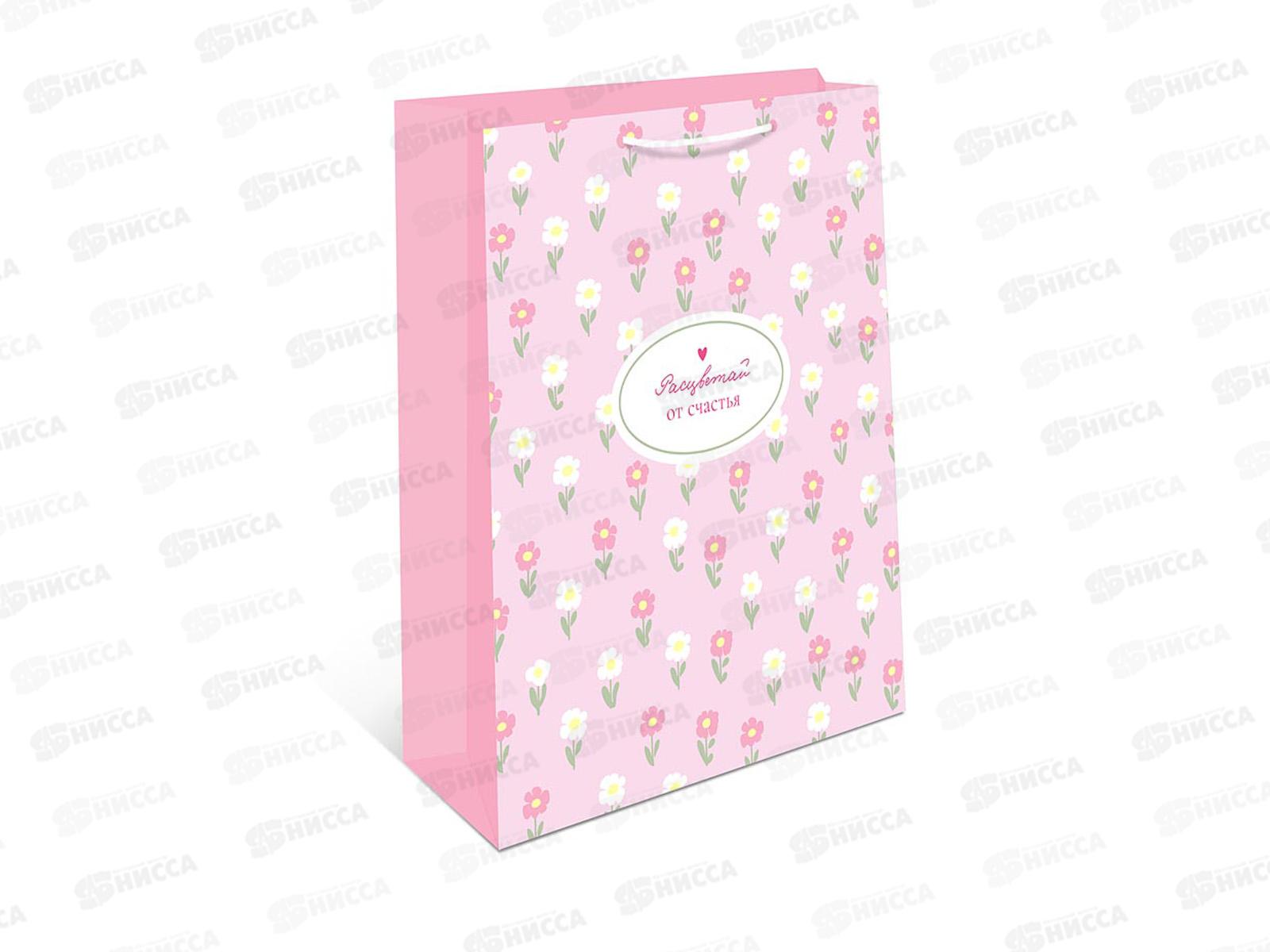 Пакет подарочный АД 18*22,3 1192.057