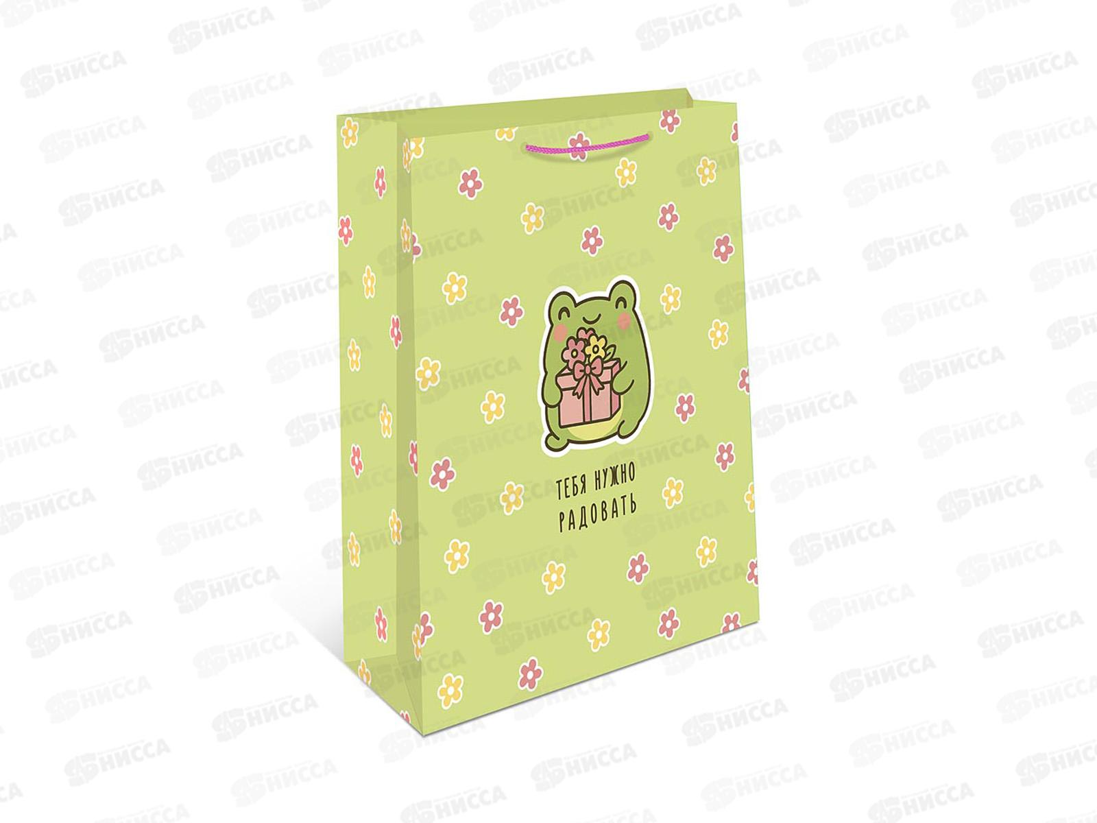 Пакет подарочный АД 18*22,3 1192.120