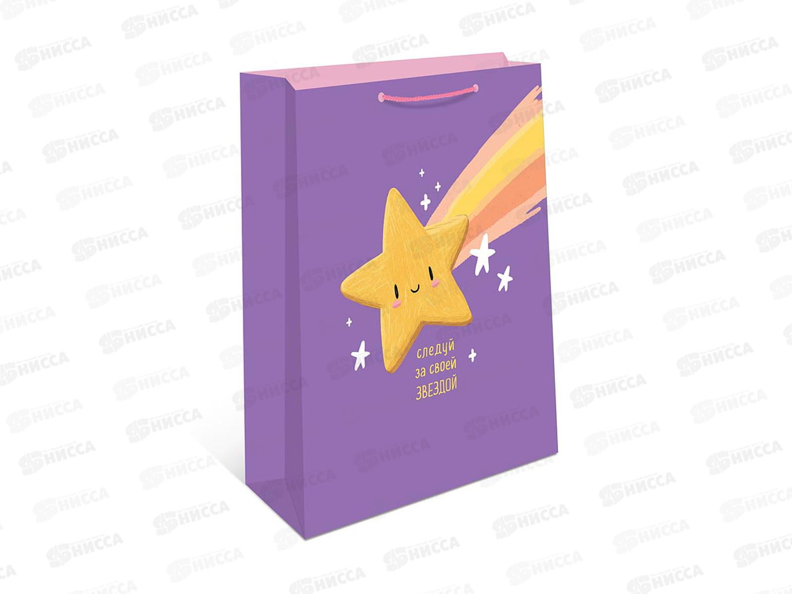 Пакет подарочный АД 33*42,5 1195.124