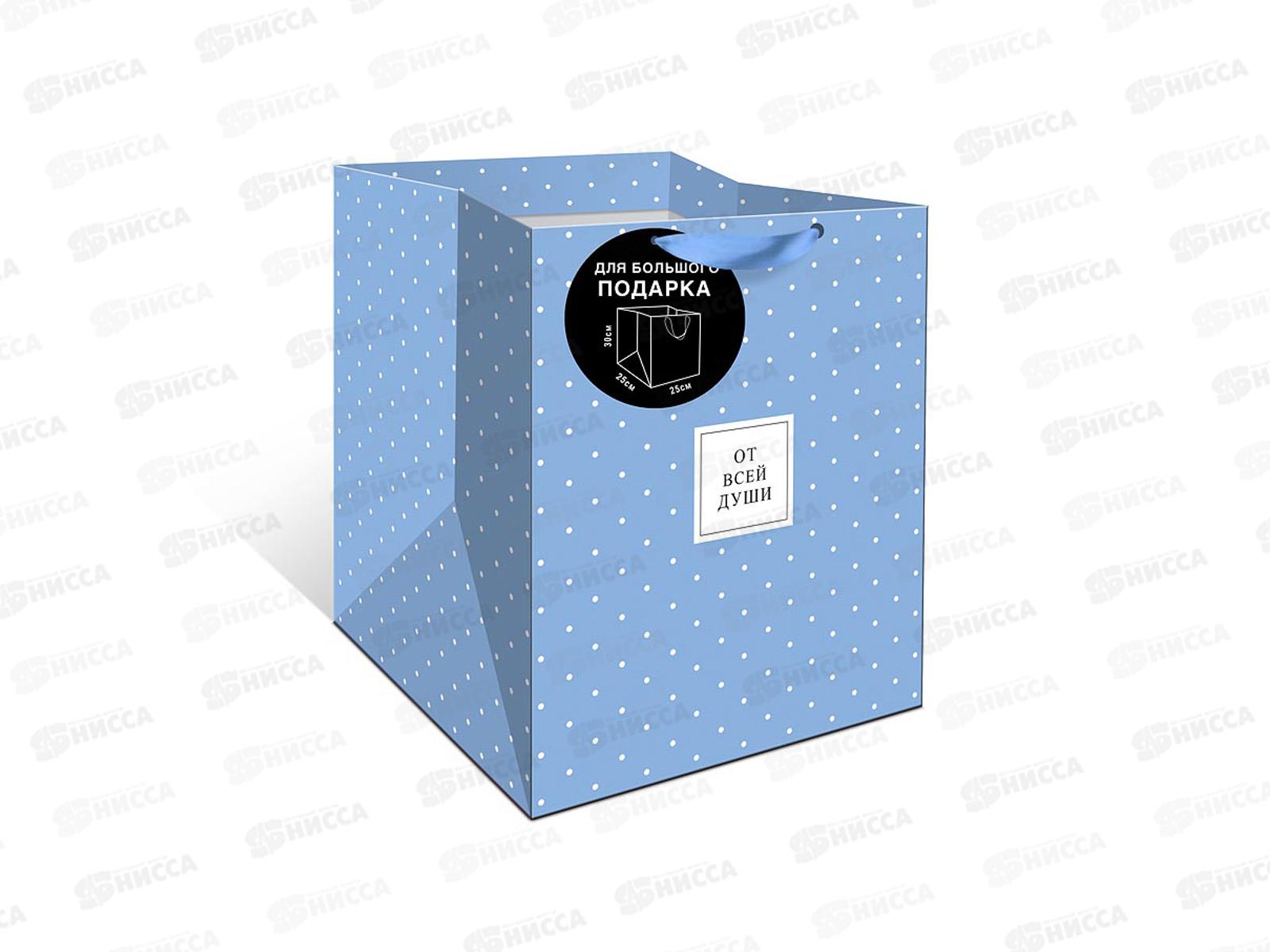 Пакет подарочный АД 25*30*25 Стандарт плюс 2324.113