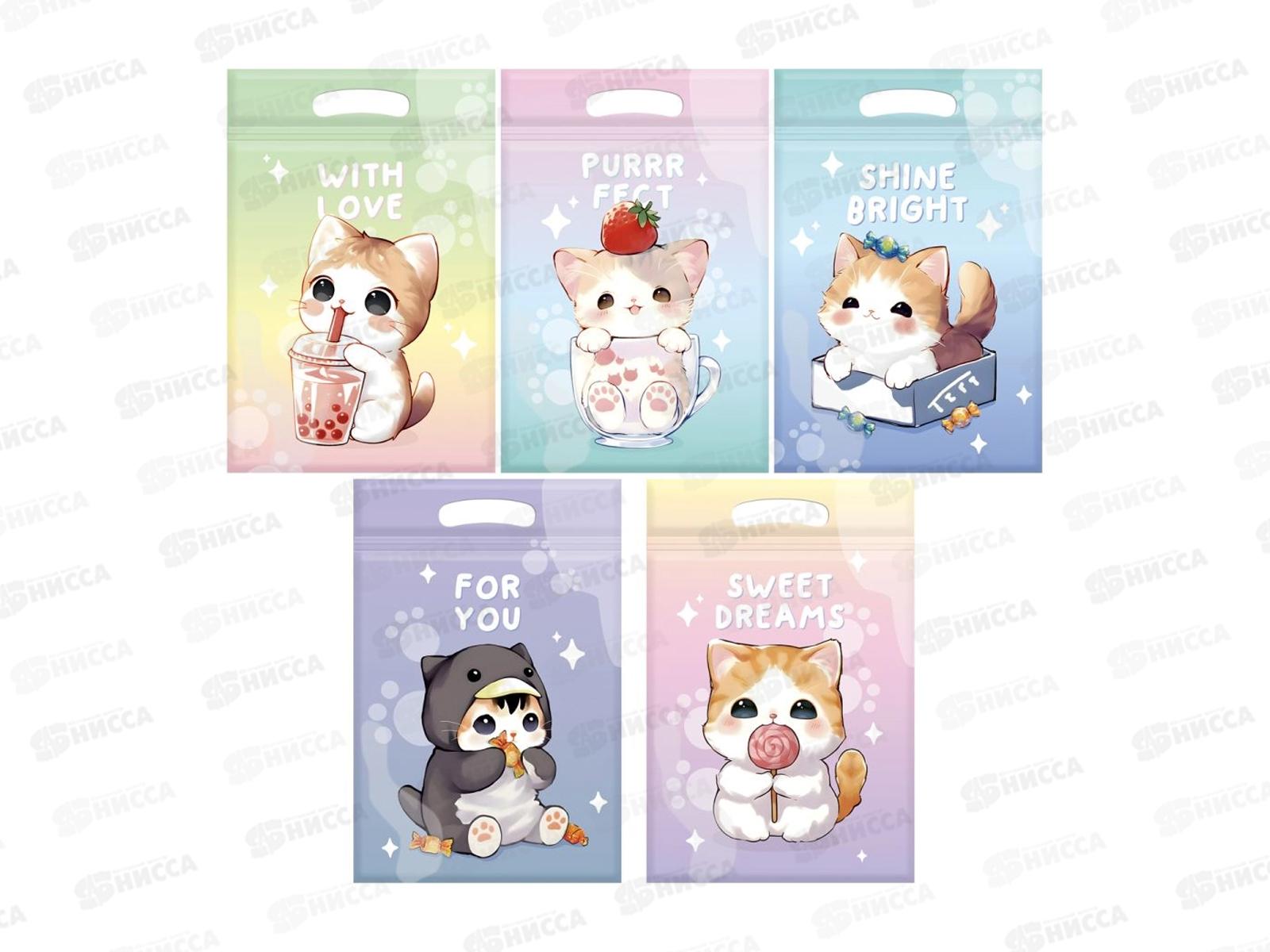 Пакет подар. набор 15*22см зип-лок, MESHU &quotCute kitten&quot, 35шт 66871