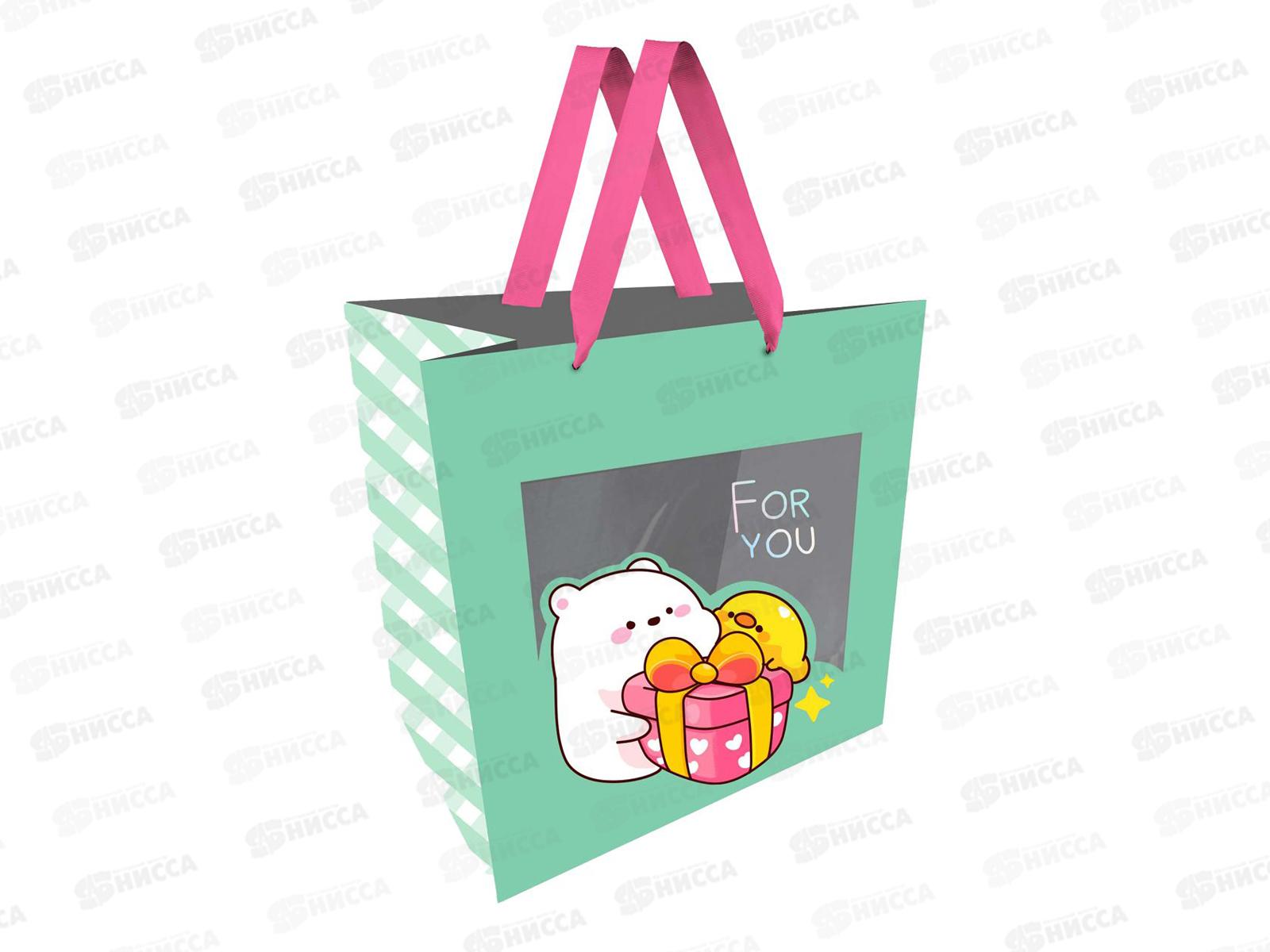 Пакет подарочный 23*18*10см MESHU &quotNice friends&quot,с окошком MS_51937*12