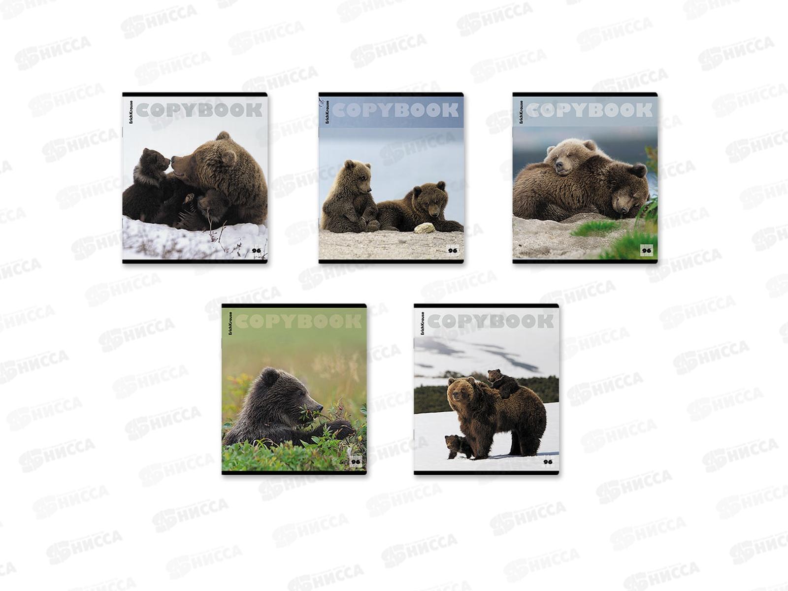 Тетрадь 96л кл. ПОЛИ Медведи. 60580 *5/60