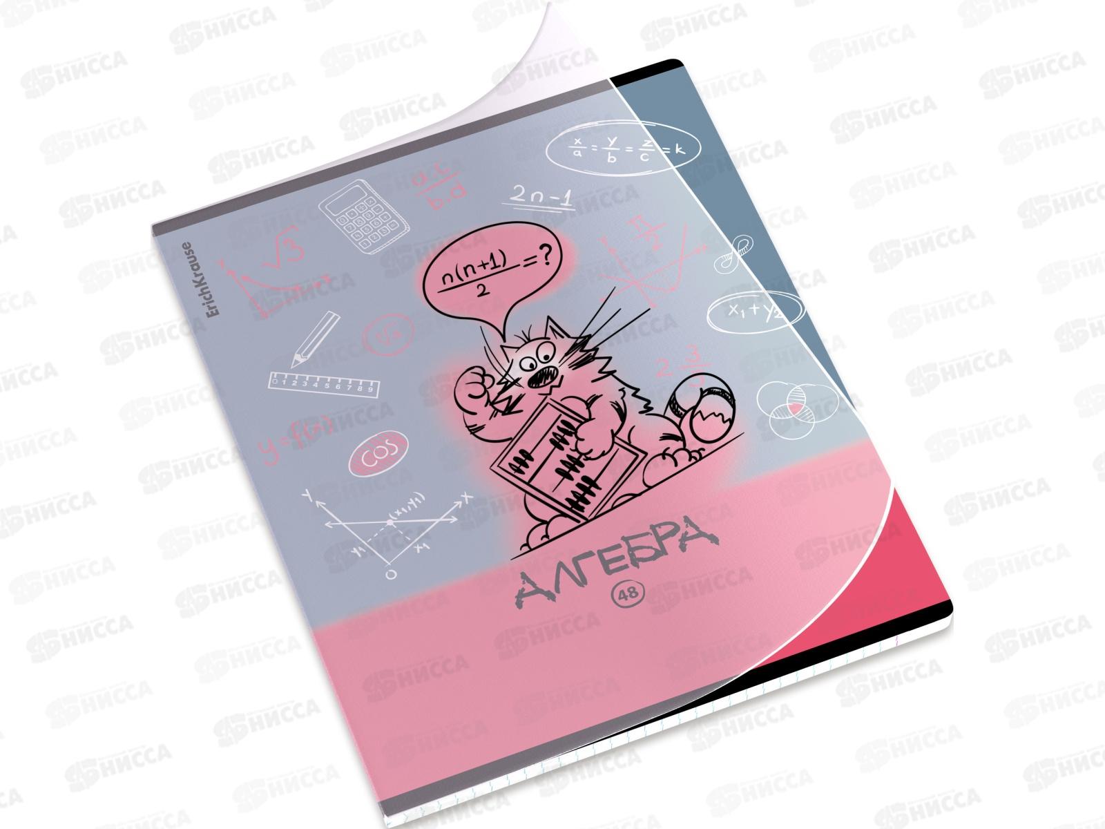 Тетрадь 48л кл. ПОЛИ Котоформулы Алгебра, пласт.обл. 62530 *5/100