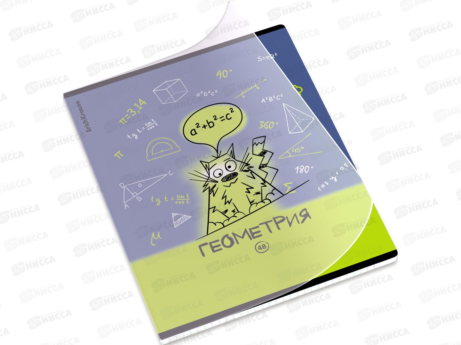 Тетрадь 48л кл. ПОЛИ Котоформулы Геометрия, пласт.обл. 62531 *5/100