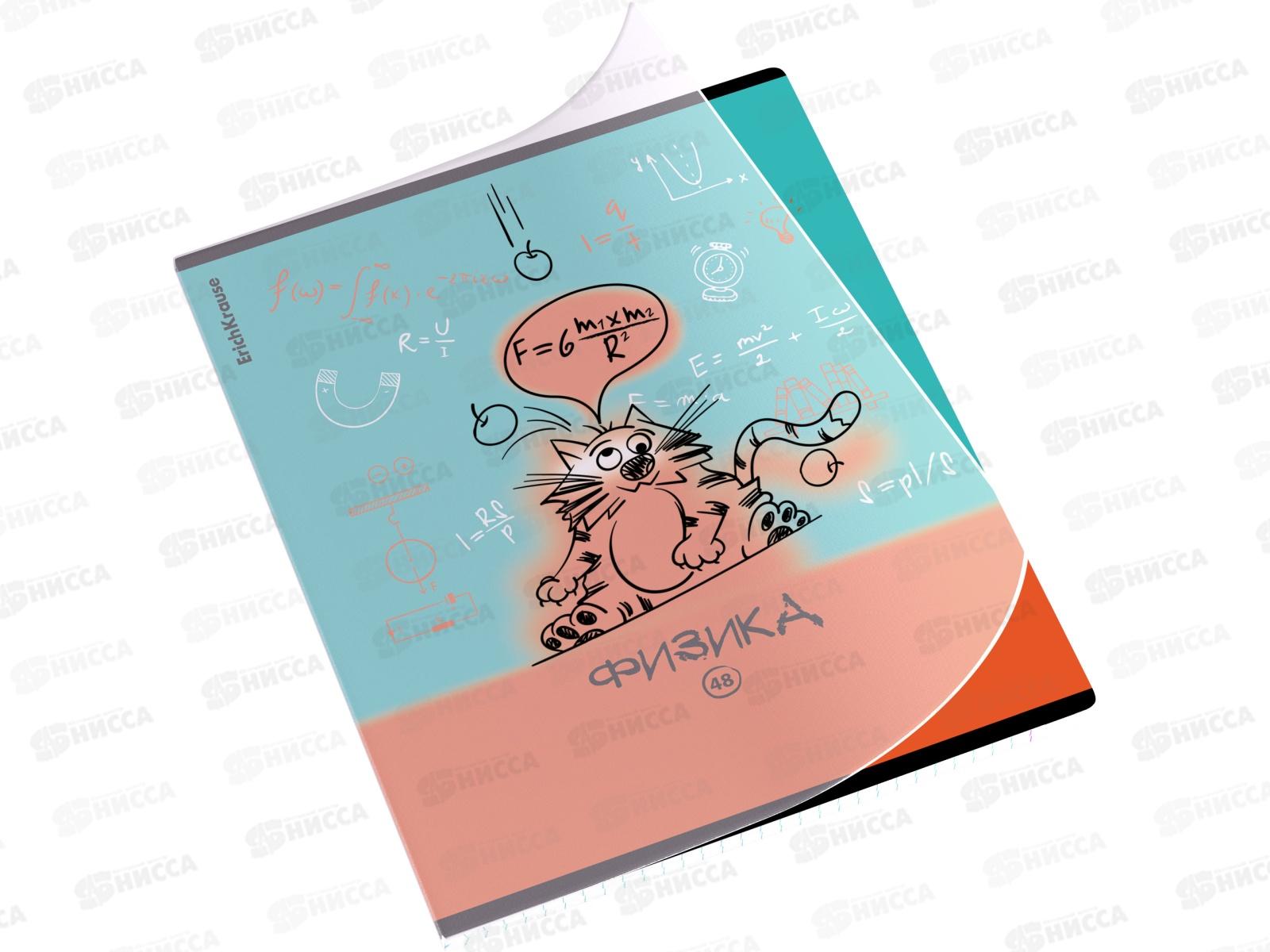 Тетрадь 48л кл. ПОЛИ Котоформулы Физика, пласт.обл. 59508 *5/100