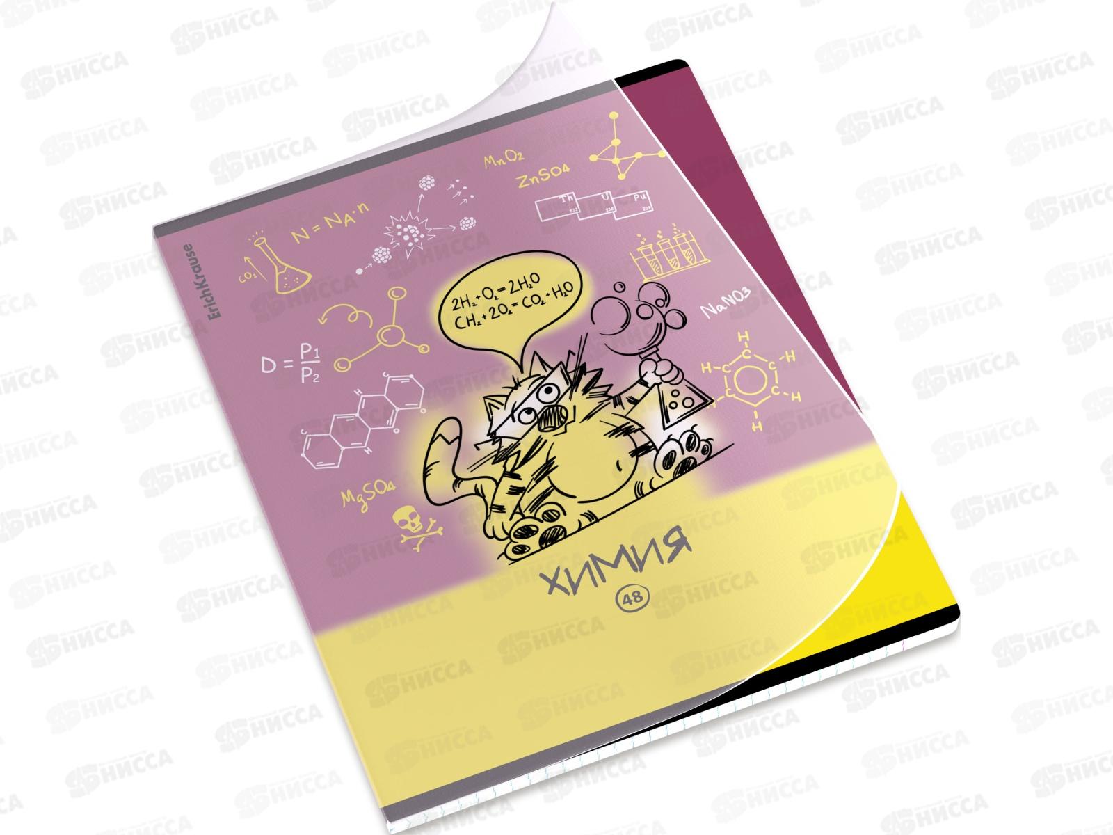 Тетрадь 48л кл. ПОЛИ Котоформулы Химия, пласт.обл. 59509 *5/100