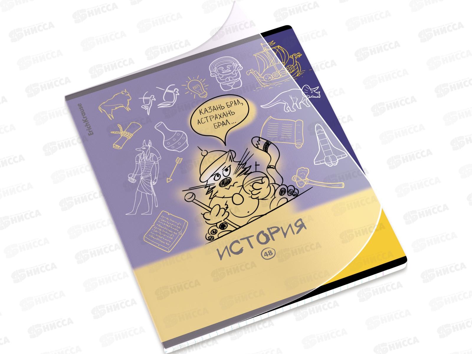 Тетрадь 48л кл. ПОЛИ Котоформулы История, пласт.обл. 59533 *5/100