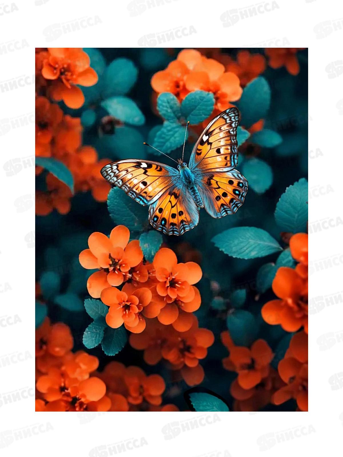 Алмаз. мозаика (класс.) 30х40см Оранжевая бабочка, НД-6409 без подр.