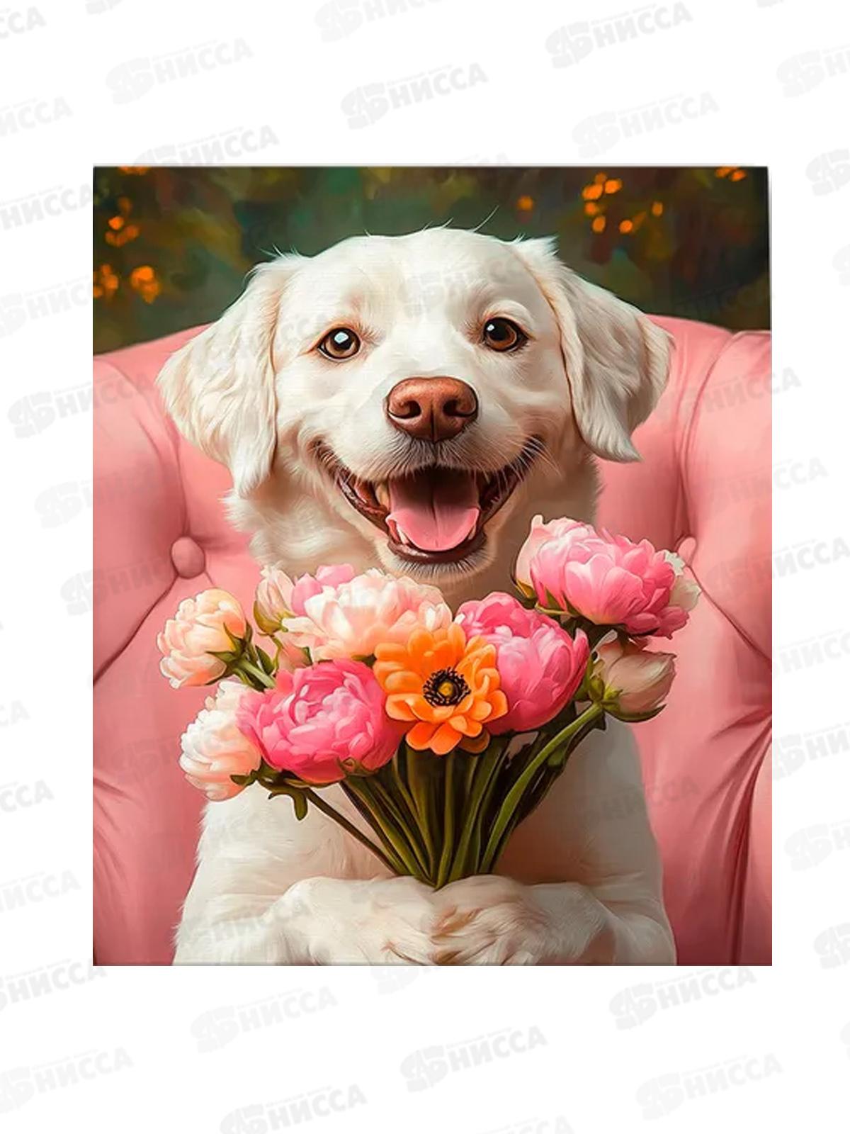 Алмаз. мозаика (класс.) 40х50см Радостный лабрадор, НД-1280 с подр.