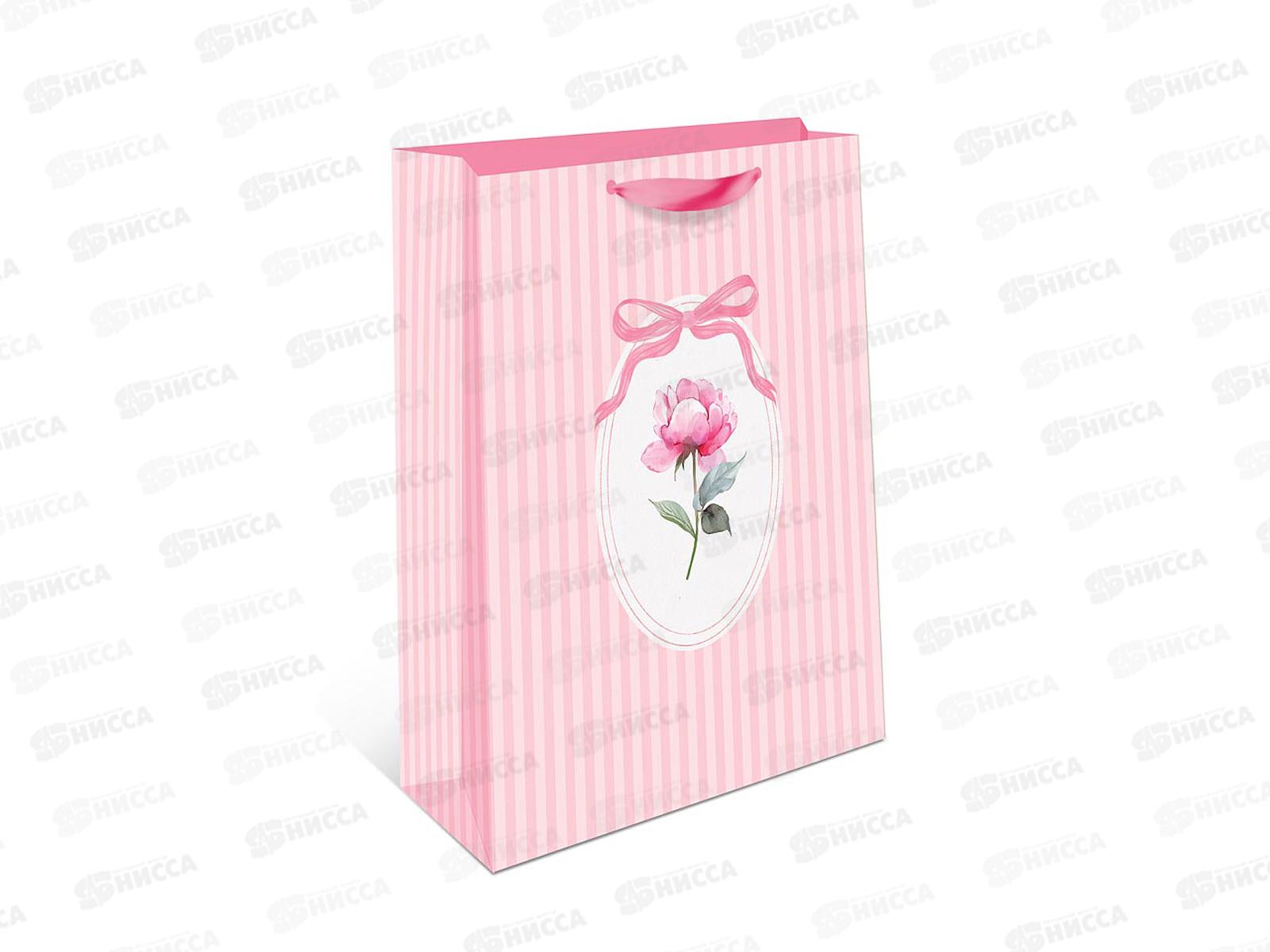 Пакет подарочный АД 18*22,3 Стандарт плюс 2312.137