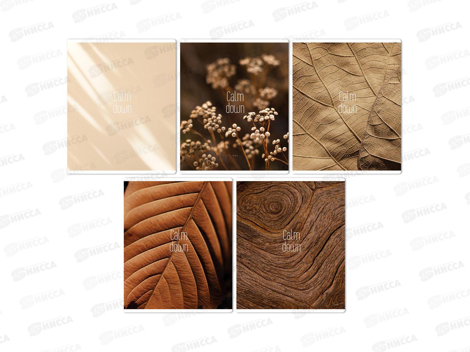 Тетрадь 96л кл. BG Calm down 61423 *4/50