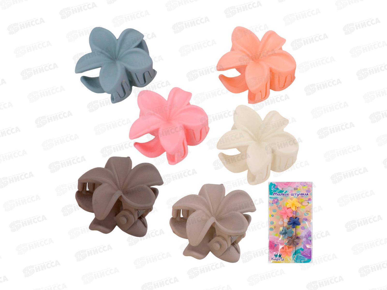 Набор заколок для волос Miss Kapriz 6шт в упак. FG250327833C