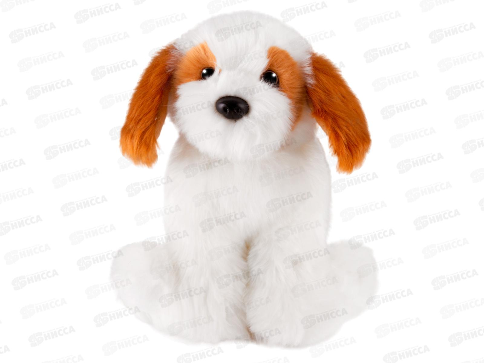 Собака Кавашон, 25см МL-SO-130222-25-14 MAXITOYS