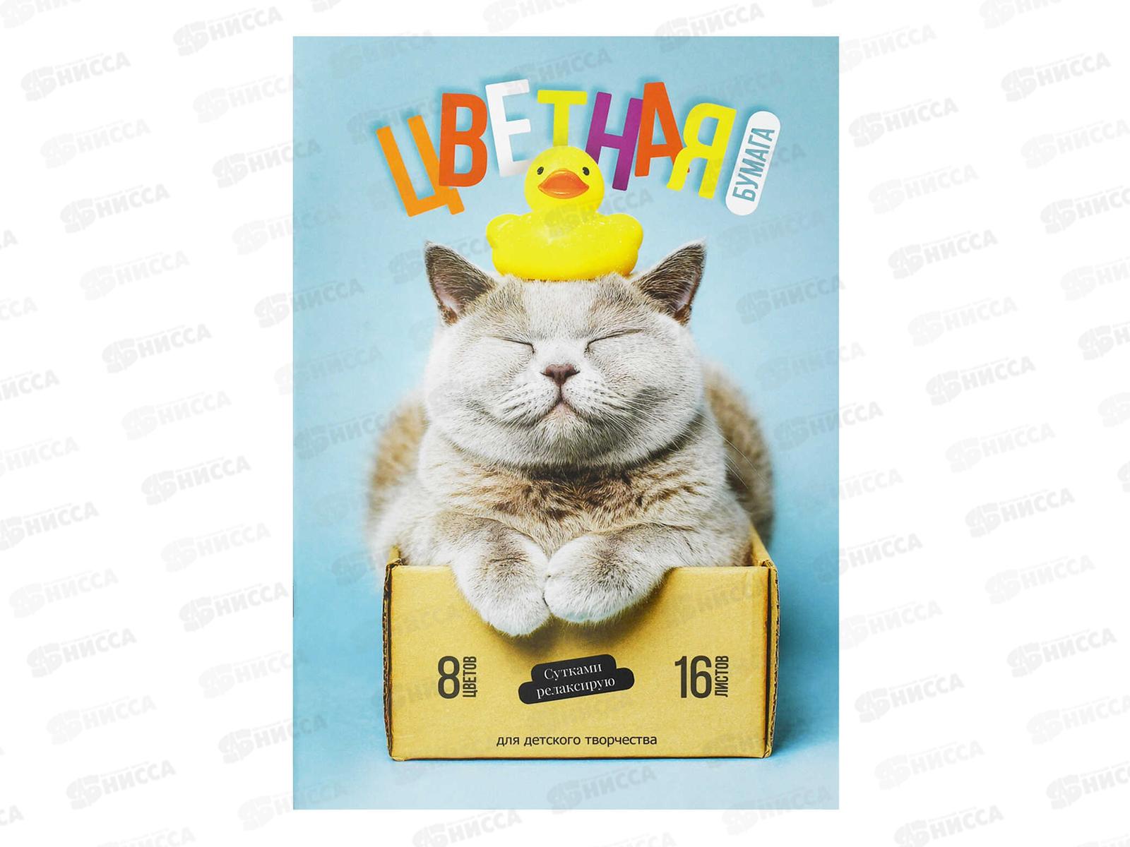 Цветная бум. 16л ФЕН 200*275мм Кот с уткой 73168  *50