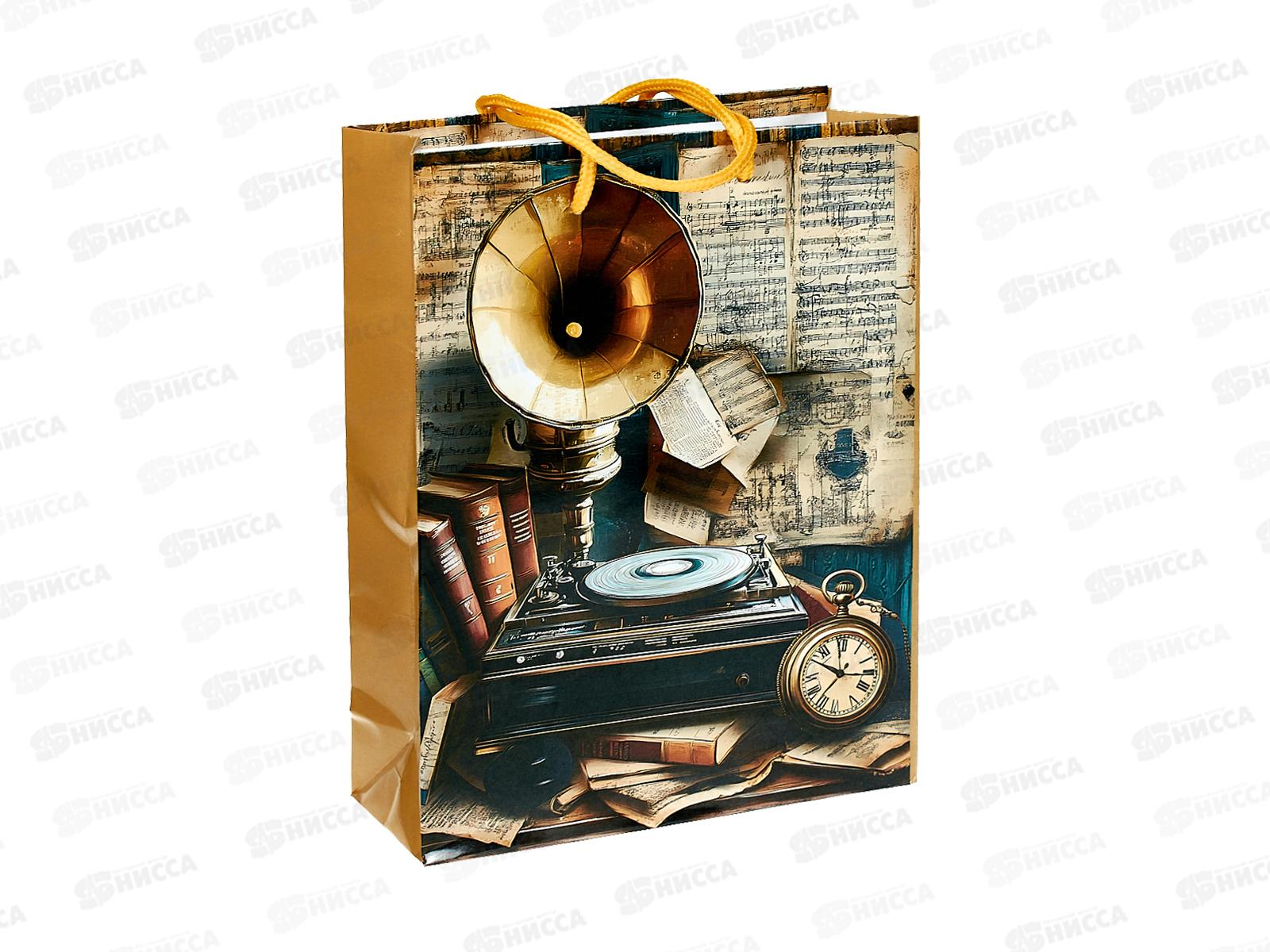 Пакет бумажный 18*24 Мужской Р10738-10 *12