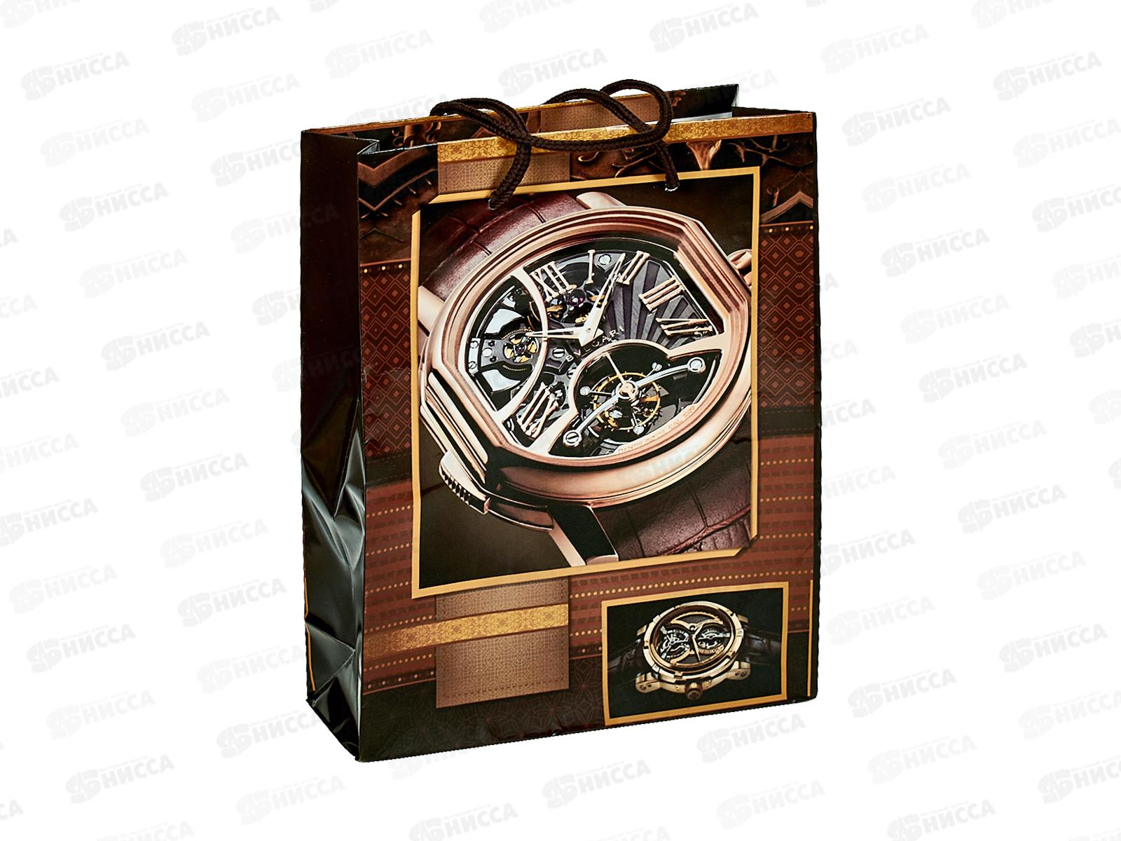 Пакет бумажный 18*24 Мужской Р10738-15 *12