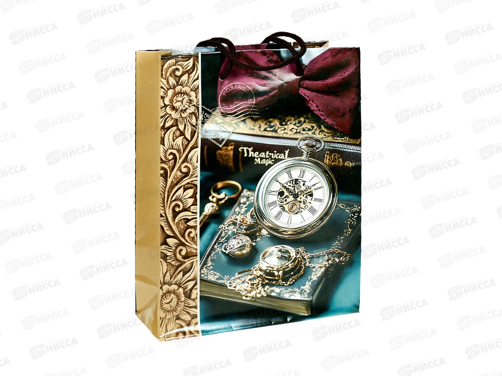 Пакет бумажный 18*24 Мужской Р10738-16 *12