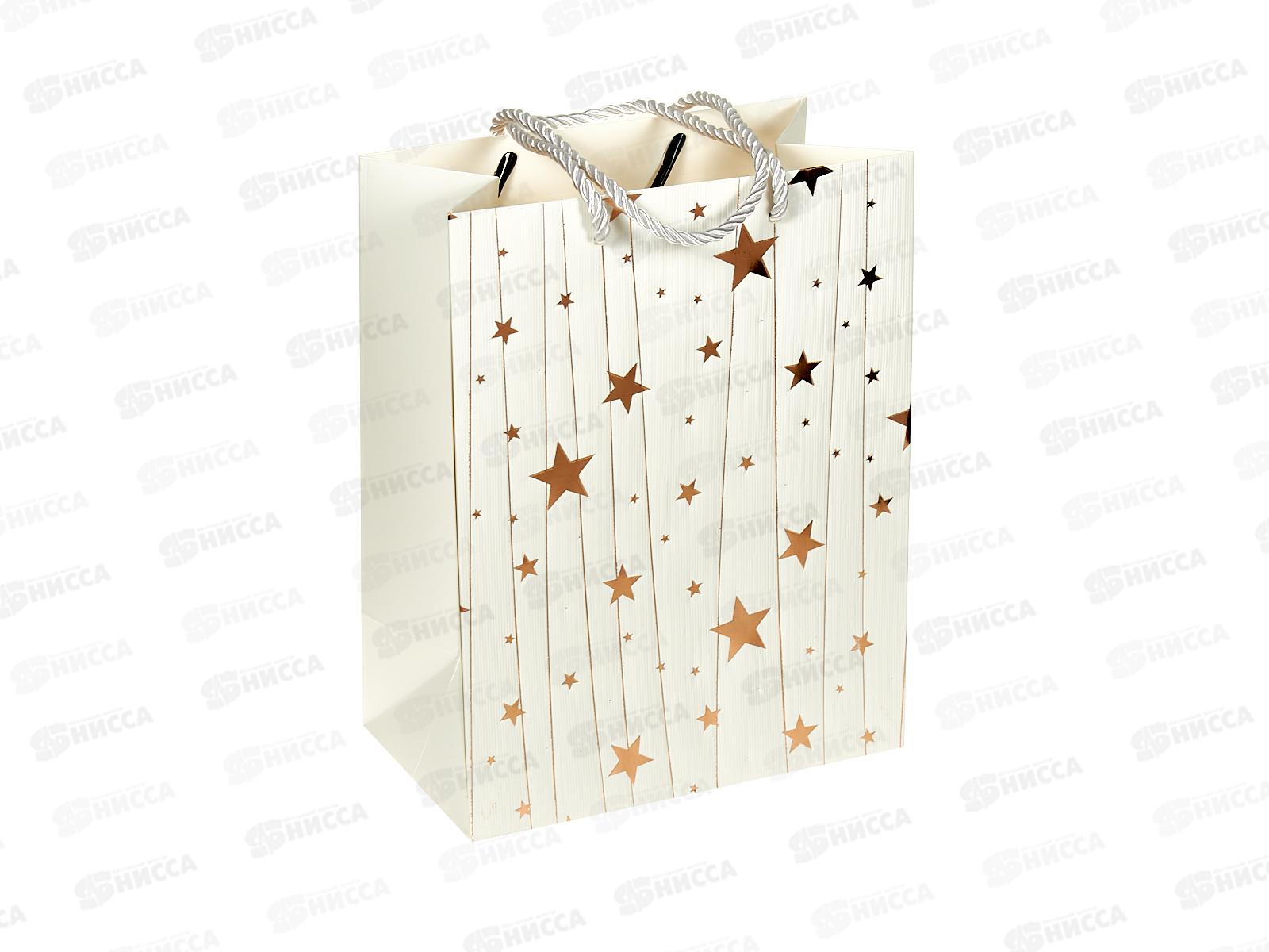 Пакет бумажный люкс 18*23 Звезды 7108S *12