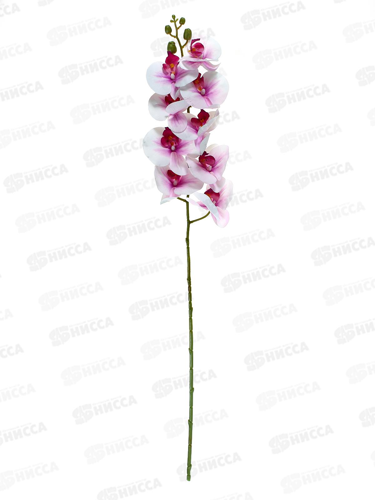 Букет 100см 9гол №129 81161 *24  Б