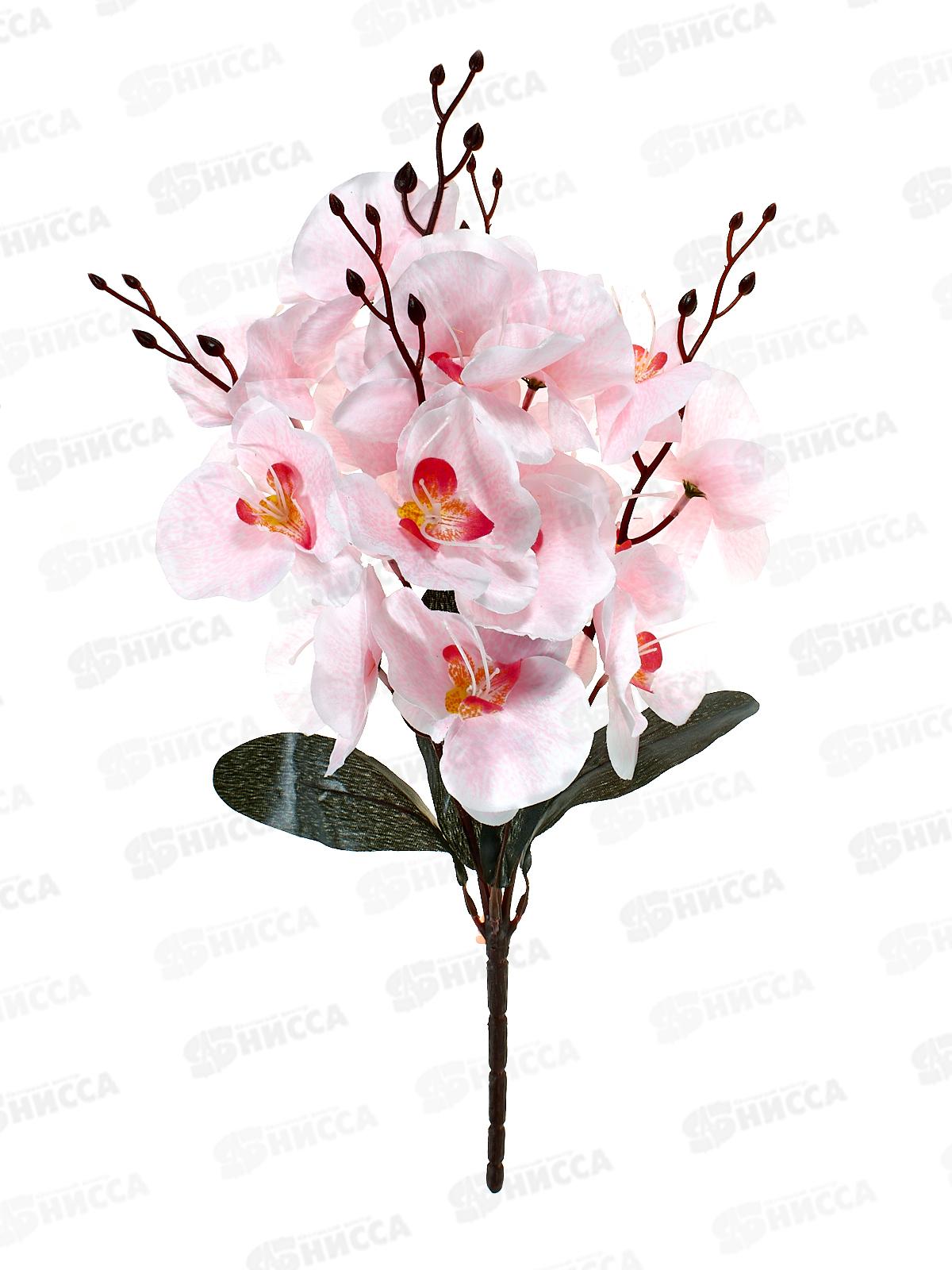 Букет 45см 5 гол №96 микс 81871 *40  Б