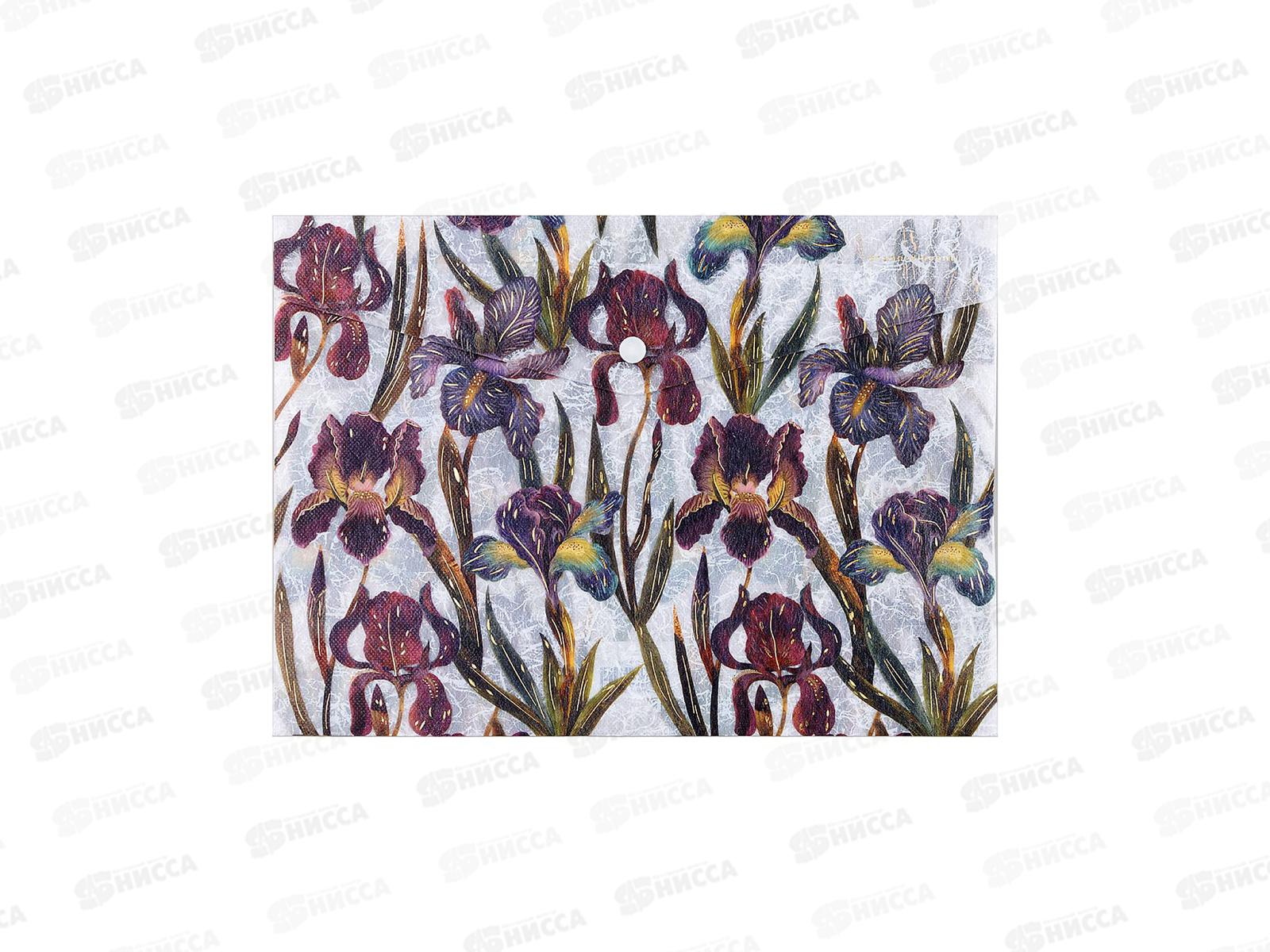Папка с кноп. B.V. А4 Flora Ирисы, 14-036/18 *10/100