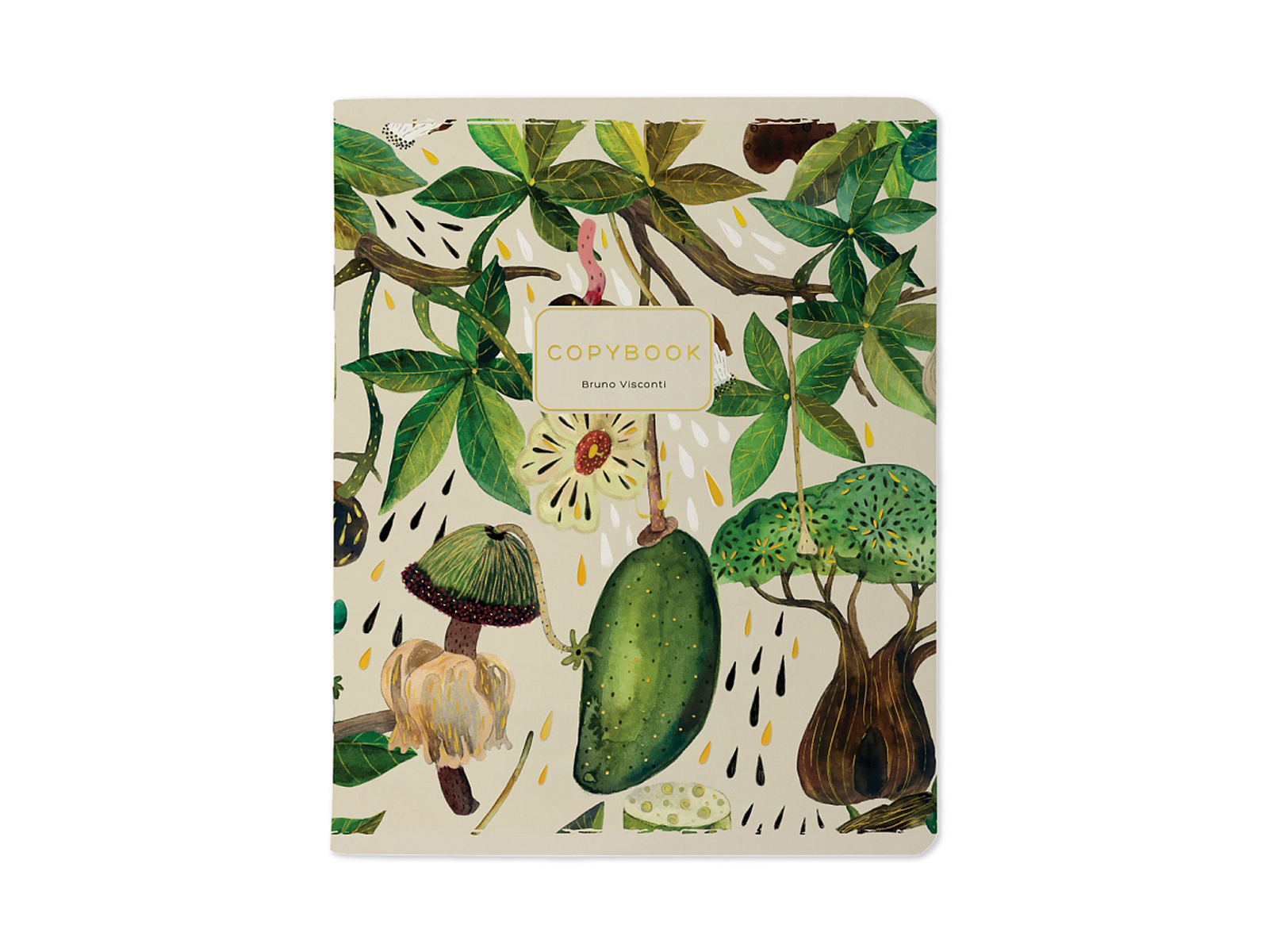 Тетрадь 48л кл. B.V. Flora  7-48-1343*4/64