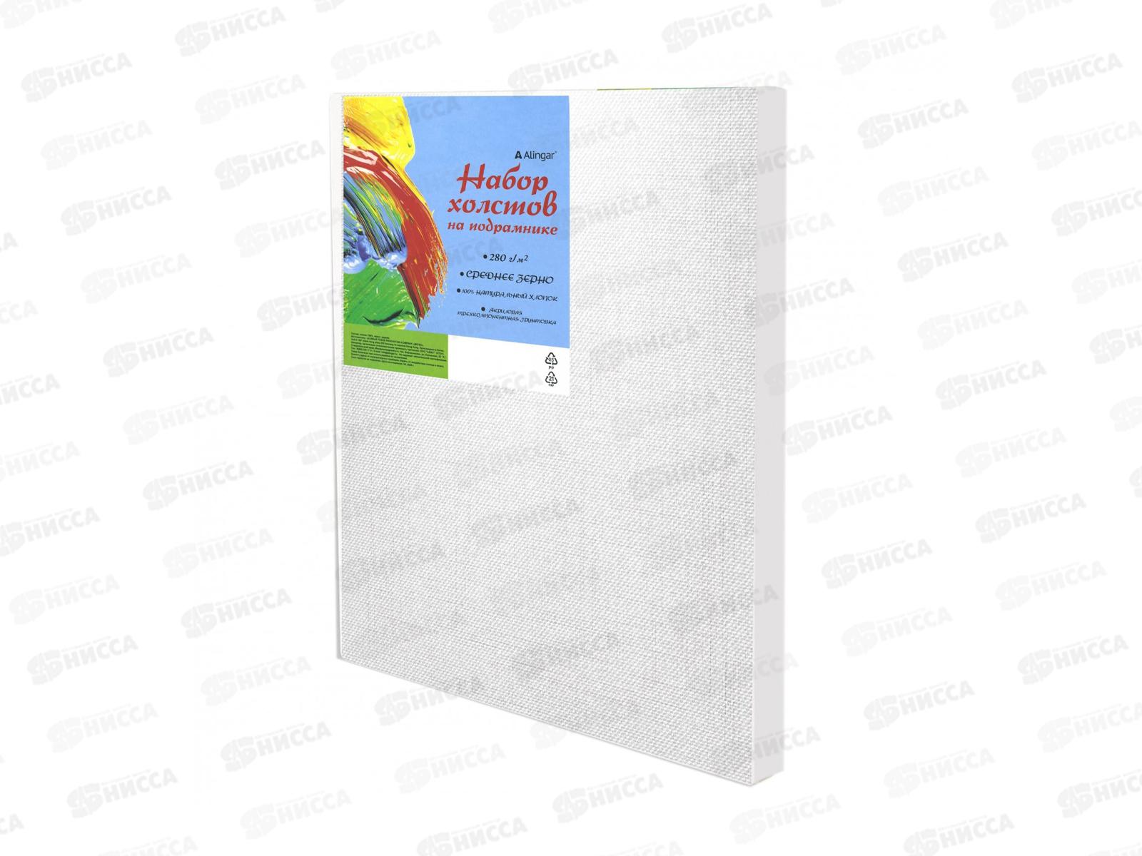 Набор холостов на подрамнике Alingar,2шт,25*30 AL11412