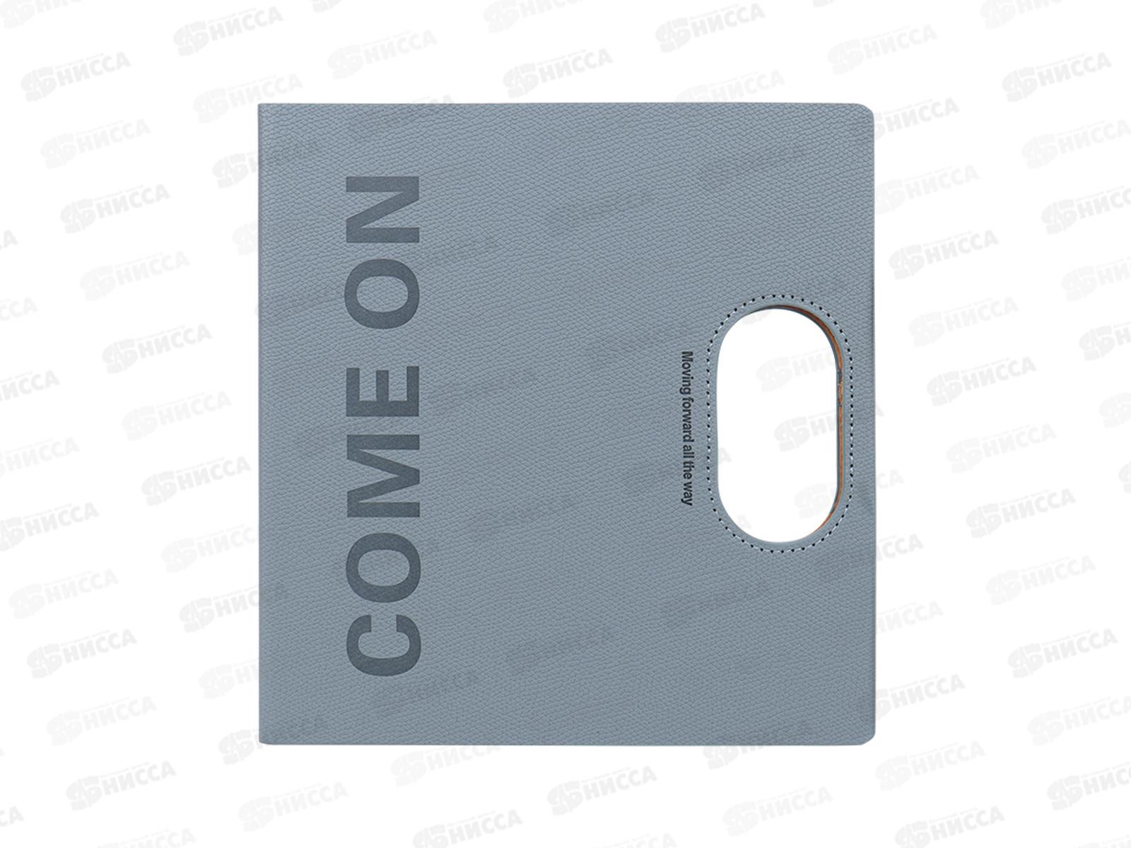 Ежедневник Darvish  100л. кожзам серая  DV-15747А