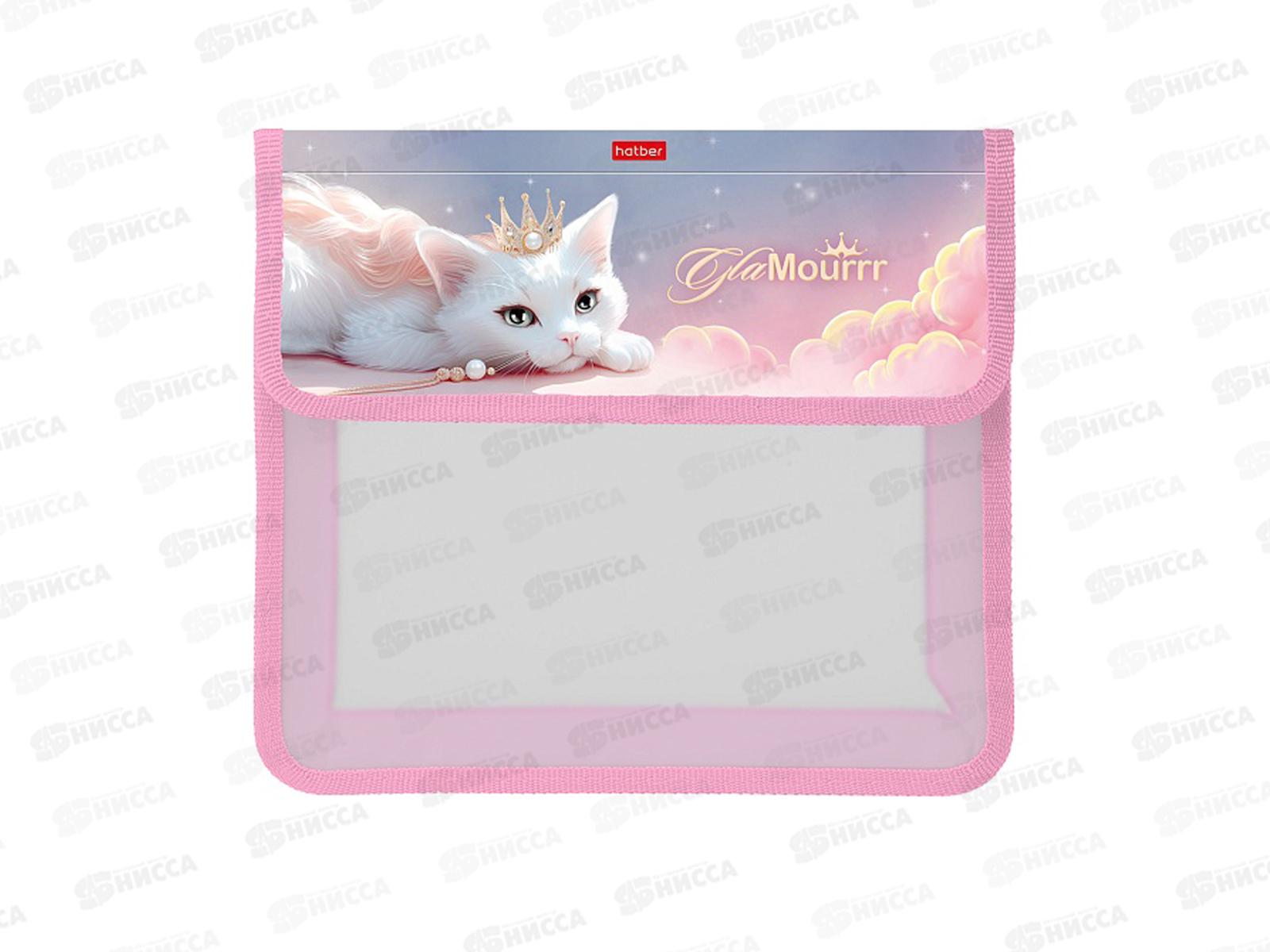 Папка д/тетр. Hatber А5 ГлаМур. пластик.на липучке 05068 *12