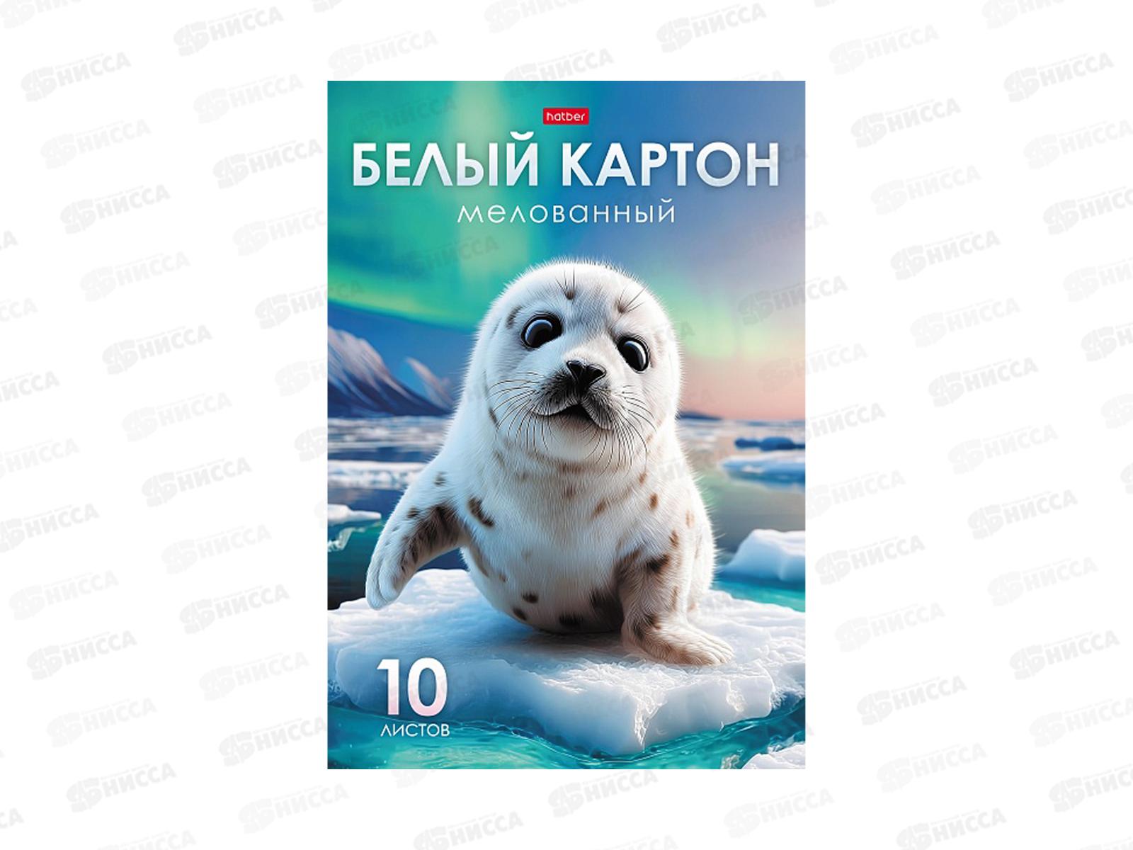 Картон белый Hatber А4  10л Снежный малыш. папка мелов. 36015  *22