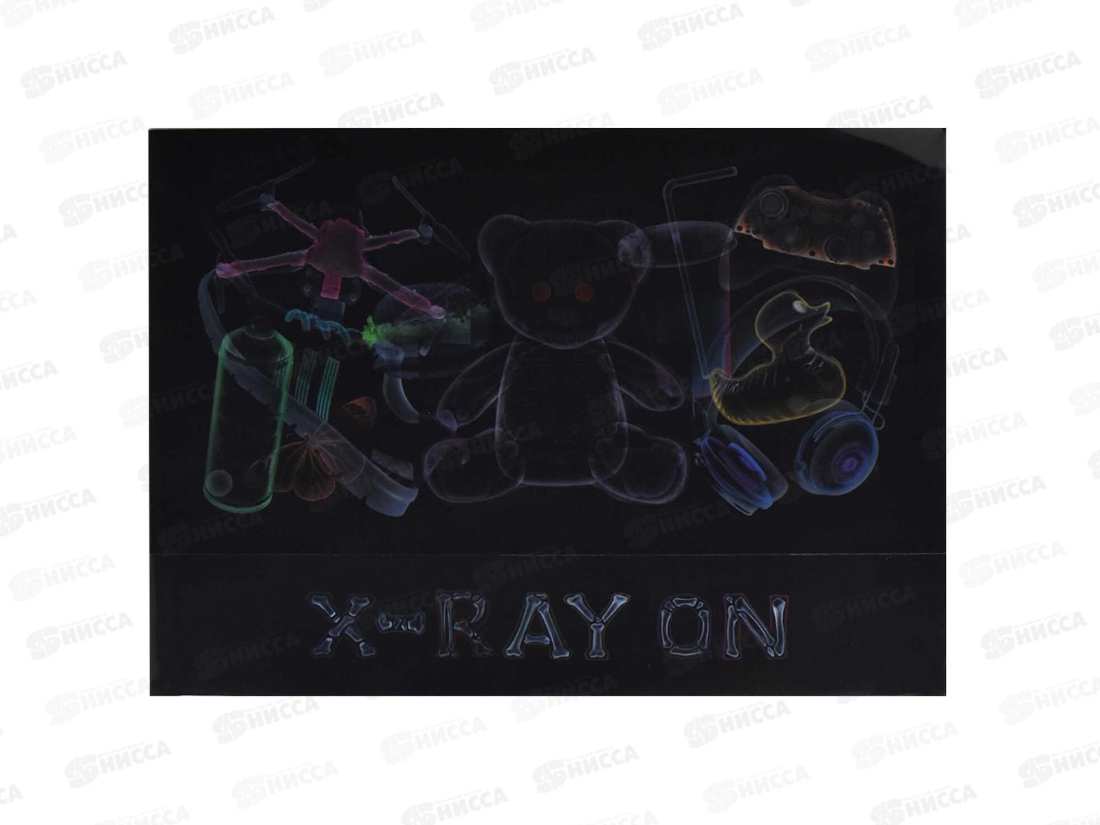 Папка д/тетрадей ФЕН А4 Ренген. 1отд., клапан 66331 *12