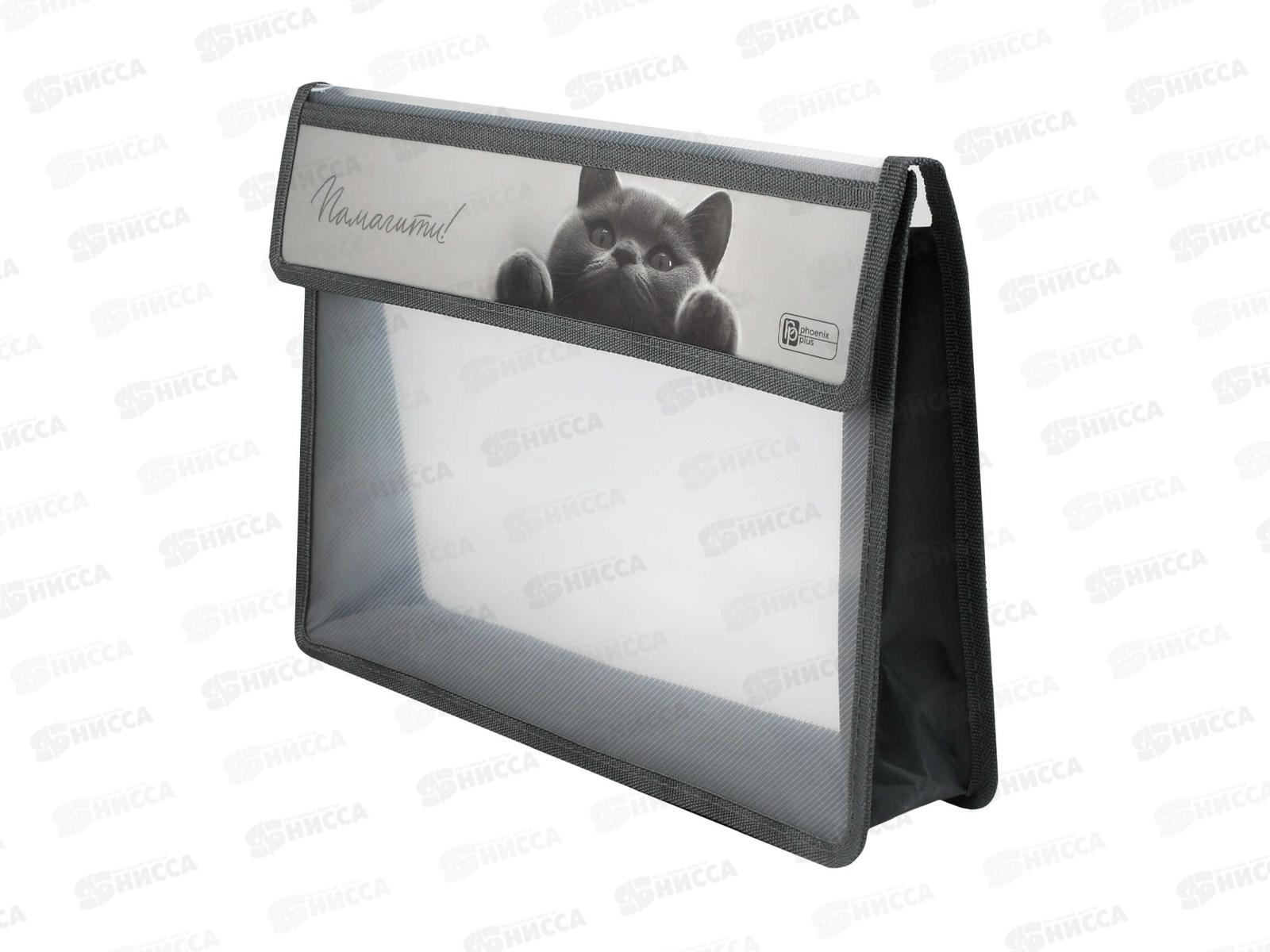 Папка д/тетрадей ФЕН А4 Британский кот. 1отд.липучка пластик 73700 *12