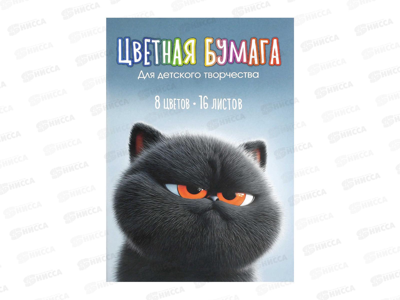 Цветная бум. 16л  8цв А4 ФЕН Кот уголёк 73161  *50