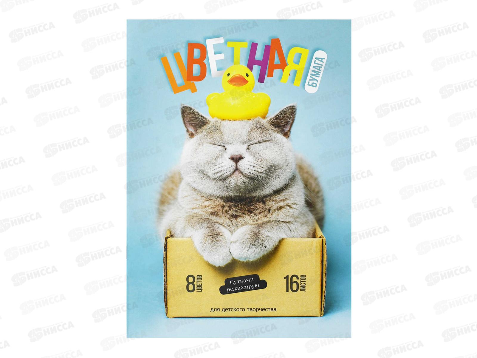 Цветная бум. 16л  8цв А4 ФЕН Кот с уткой 73168  *50