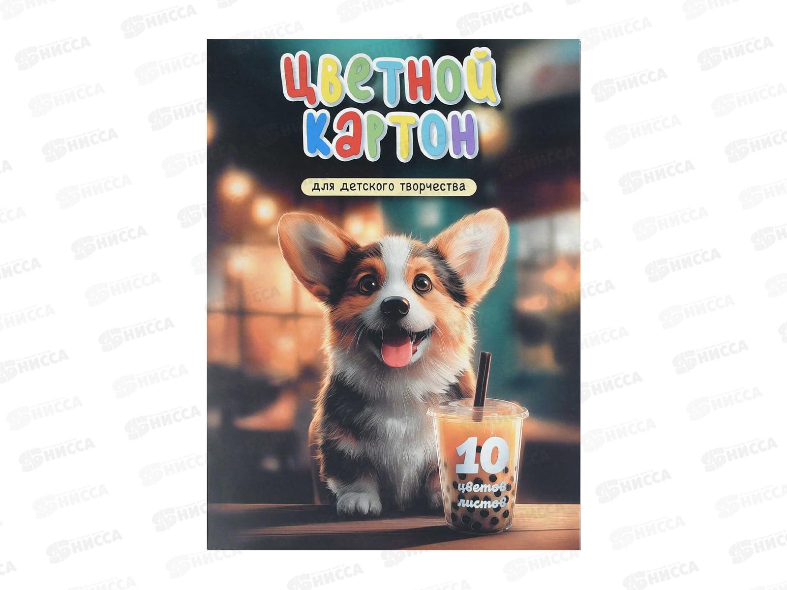 Цветной карт. ФЕН А4 10л 8цв Корги с бабл-ти + золото/серебро 73190 *