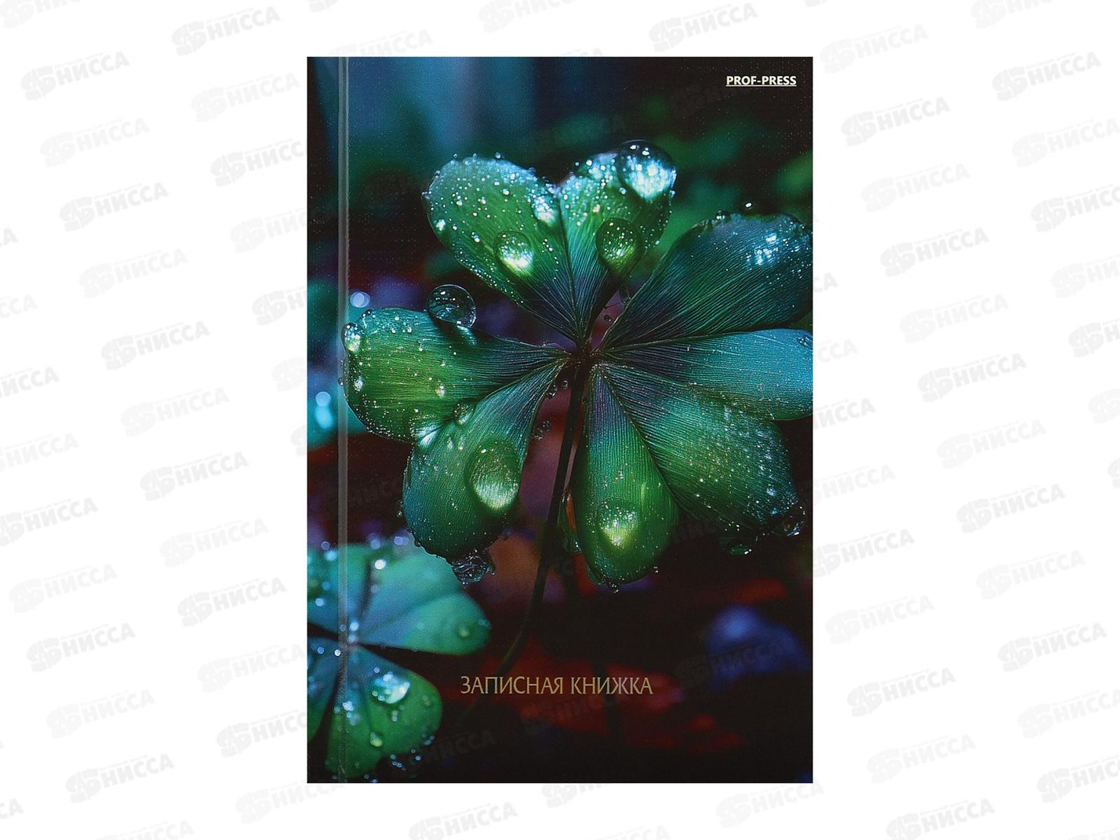 Записная книжка ПП А6 80л Красивая природа, ЗК80-0078