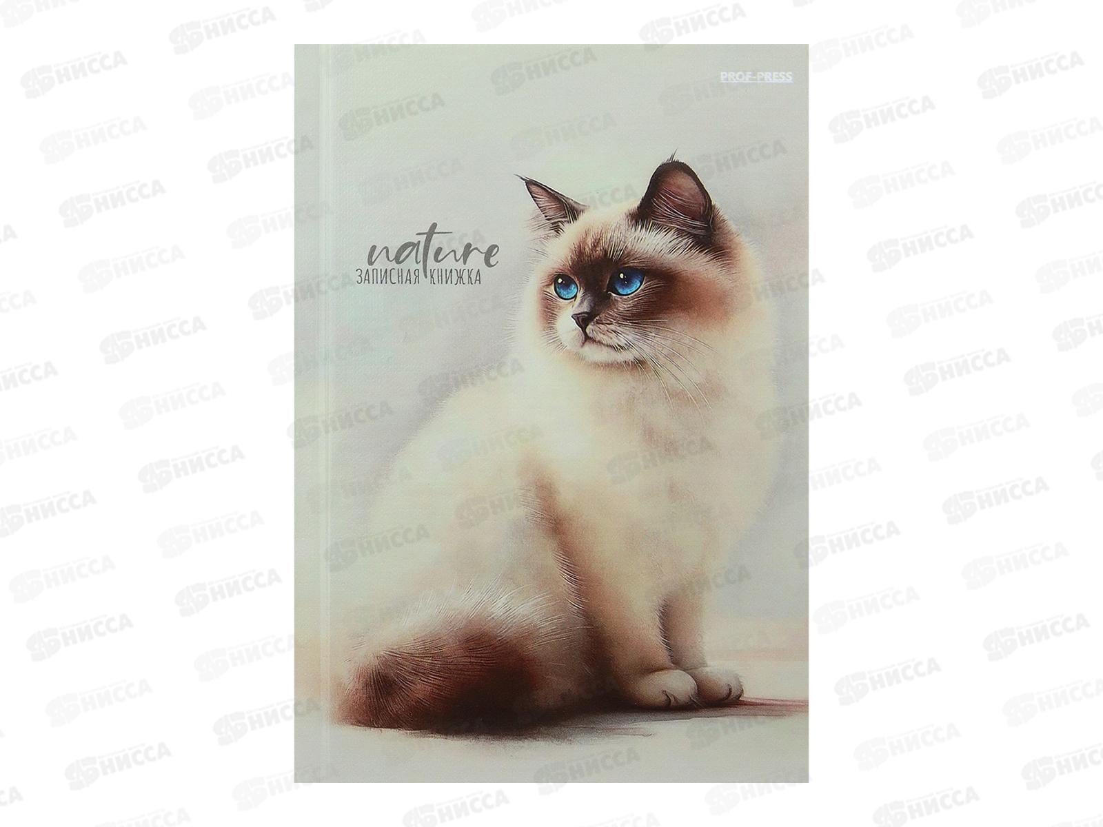 Записная книжка ПП А6 80л Красивые коты - 2, ЗК80-0075