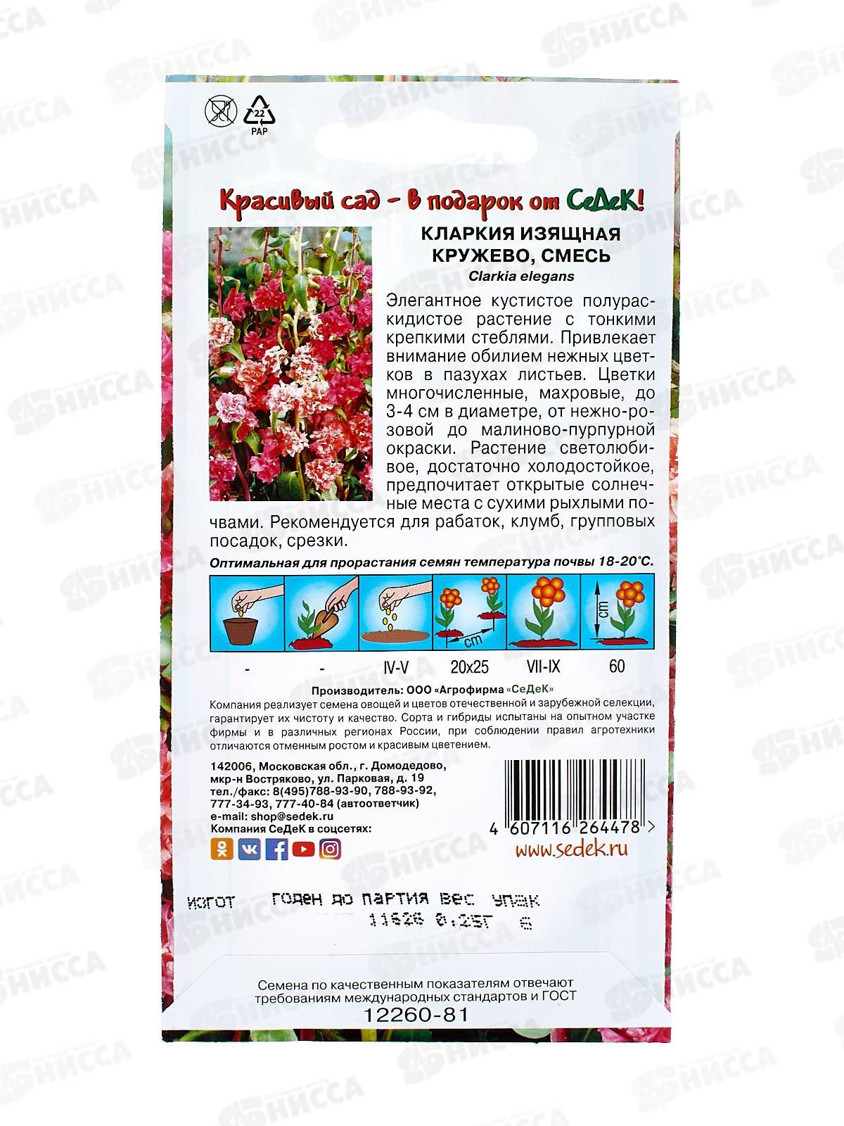 Кларкия Кружево (высокорослая смесь) (Евро, 0,25) СеДек *10 +