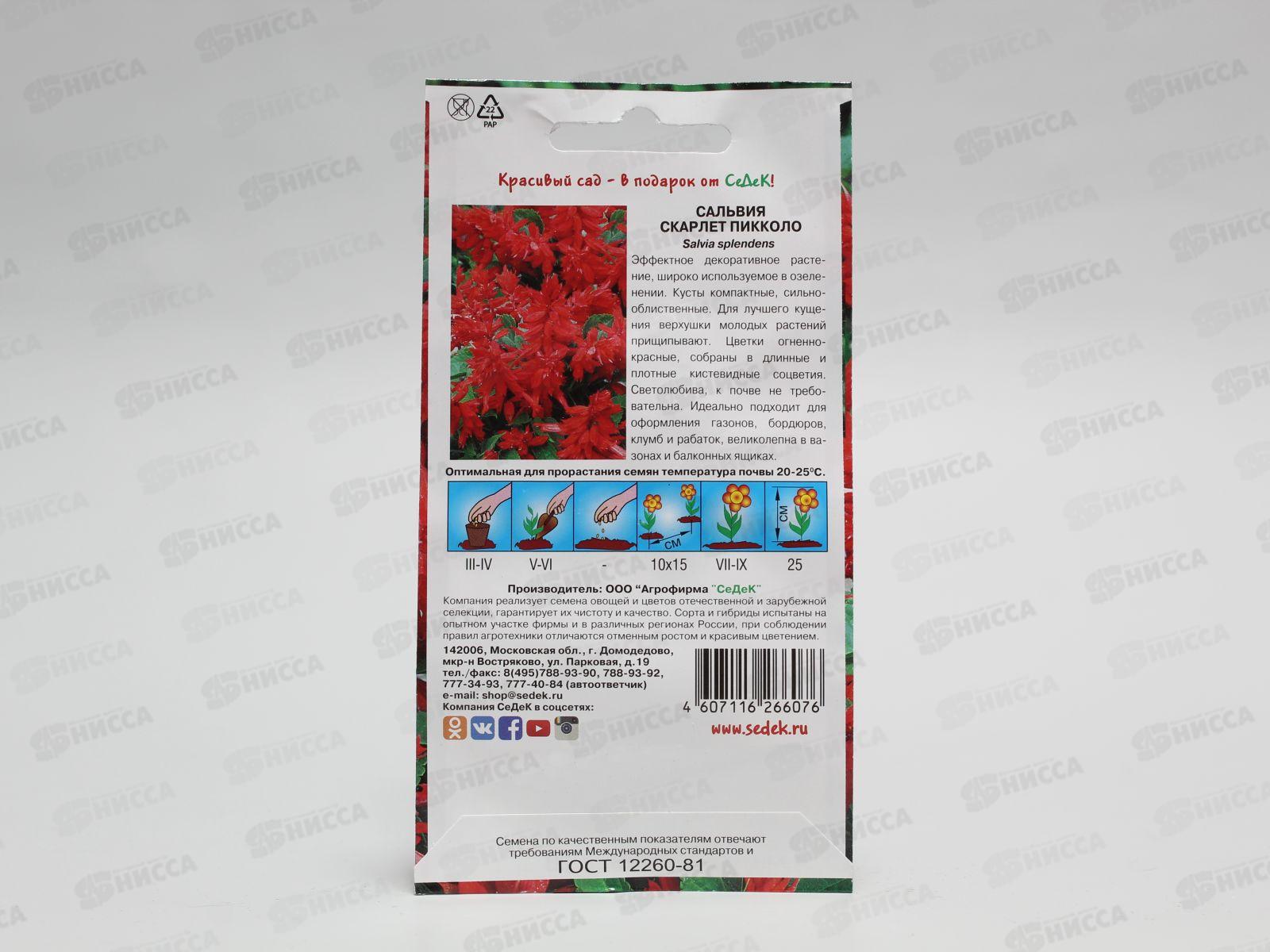 Сальвия Скарлет пиколло  (блестящая, низкорослая, красная) (Евро, 0,2) СеДек *10 +